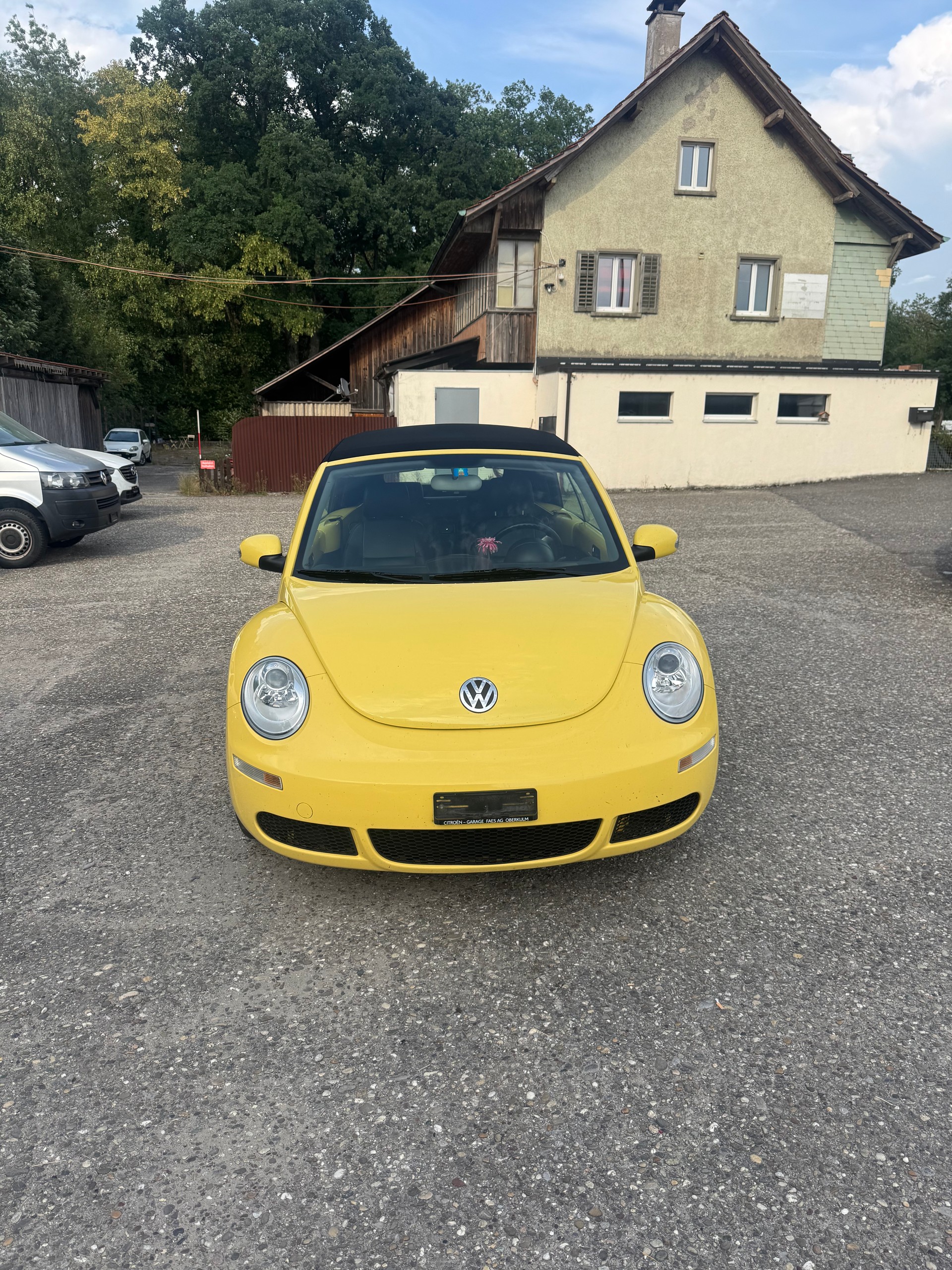 VW BEETLE