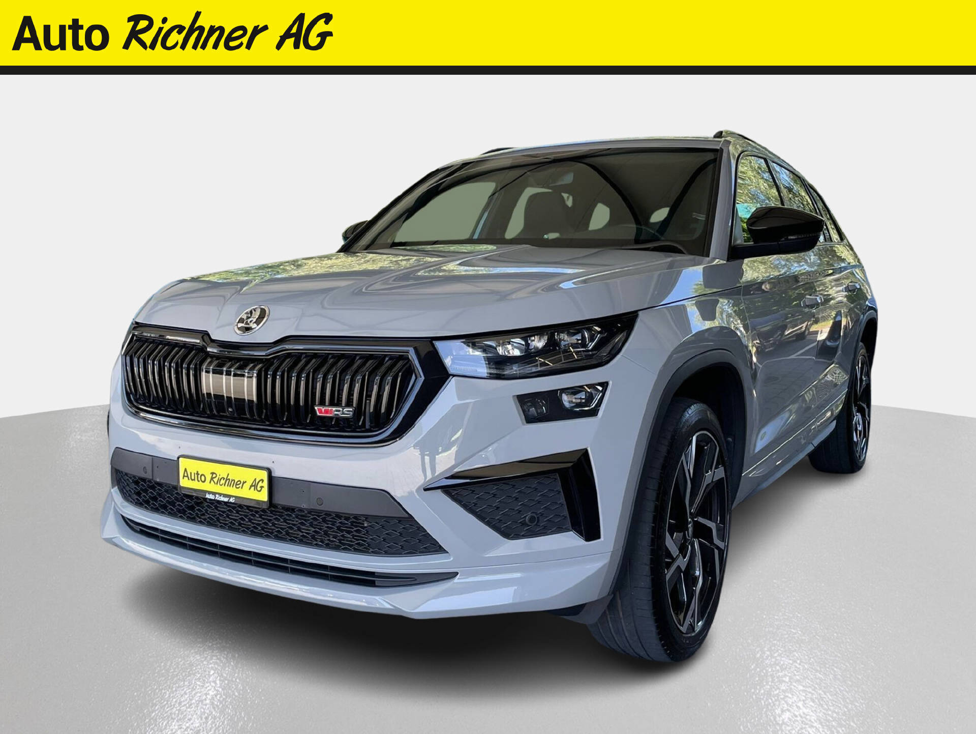 SKODA Kodiaq 2.0 TSI RS DSG-showroom-element-1
