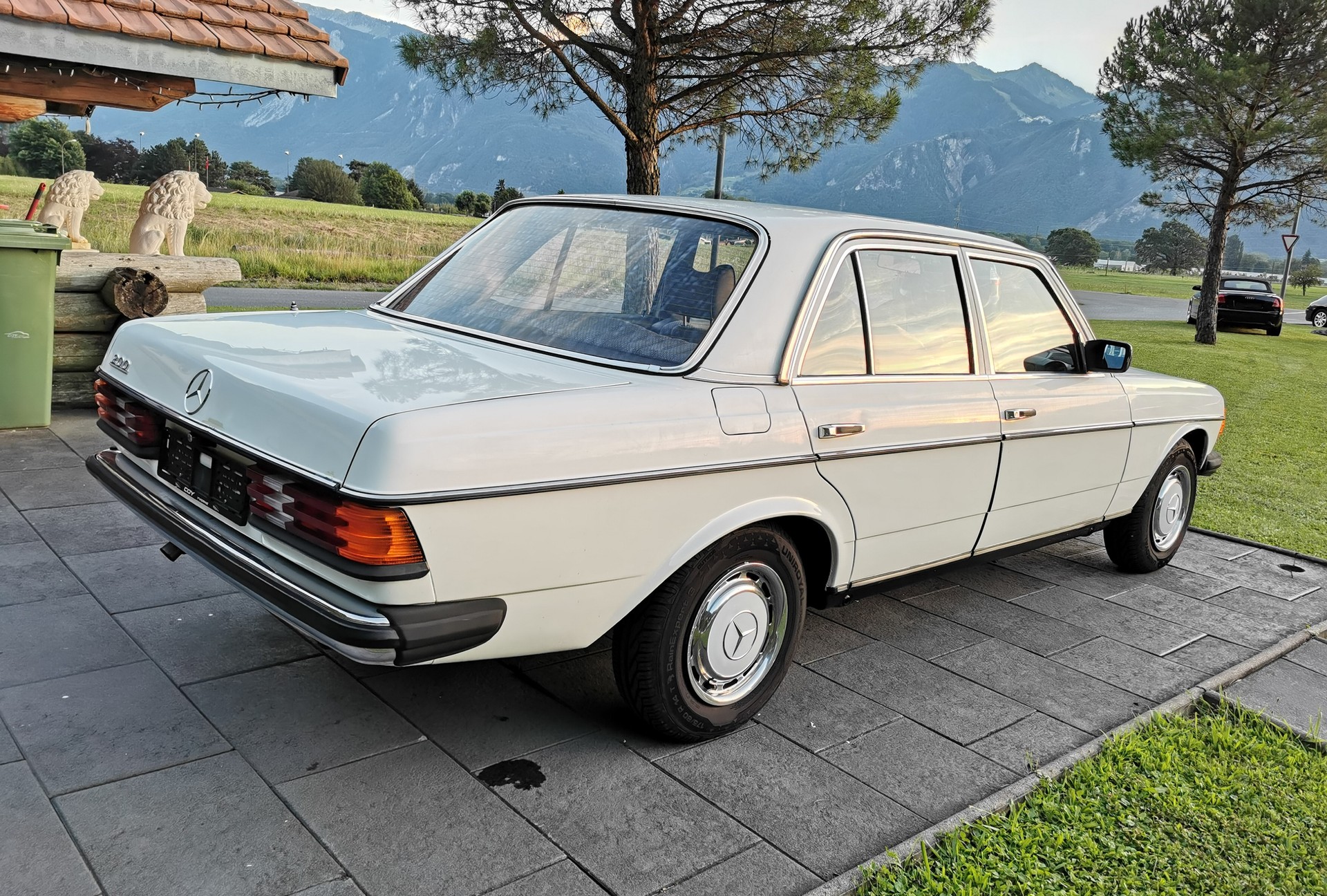 MERCEDES-BENZ W123-image-8