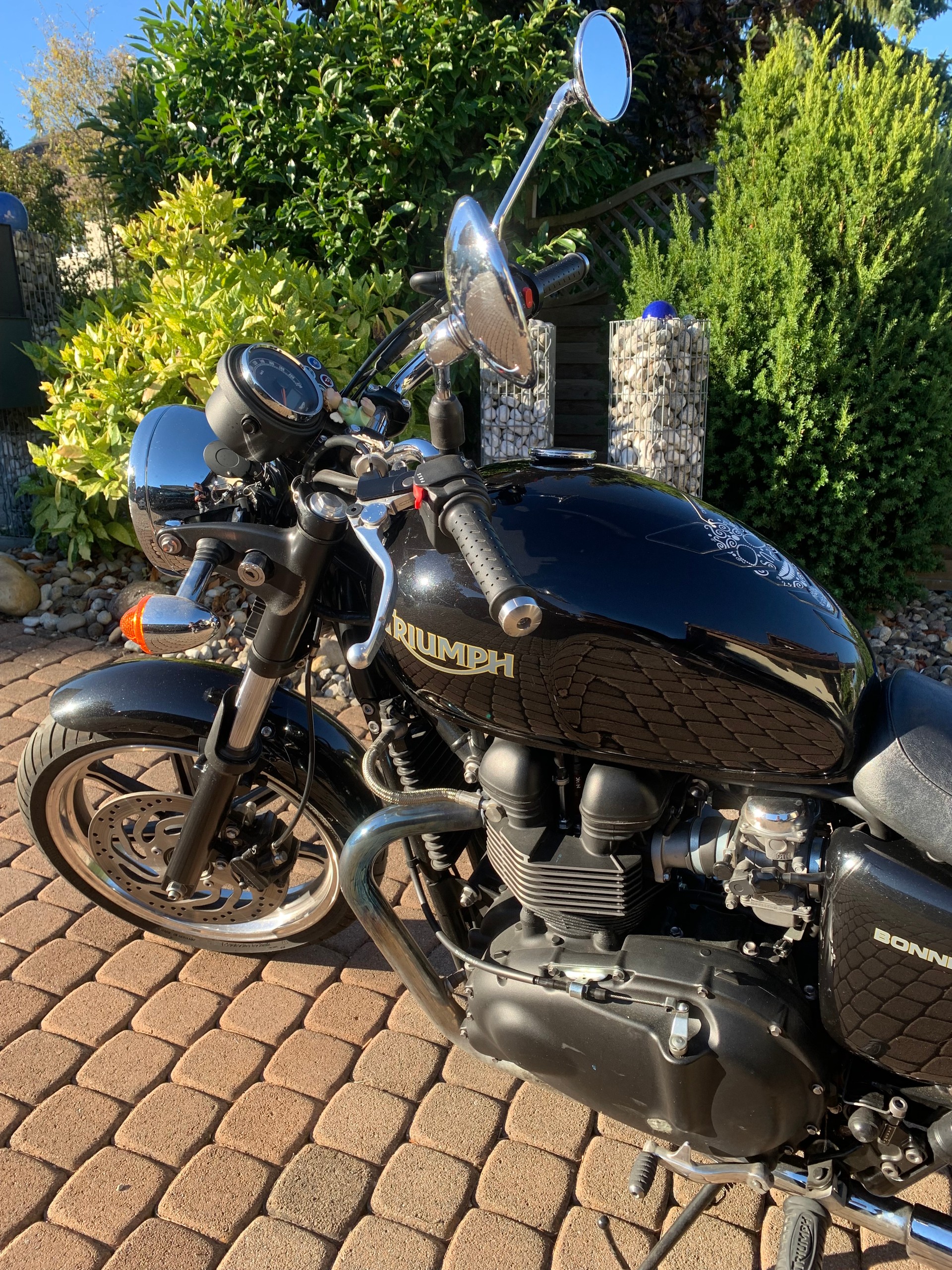 TRIUMPH SE 900 i-image-1