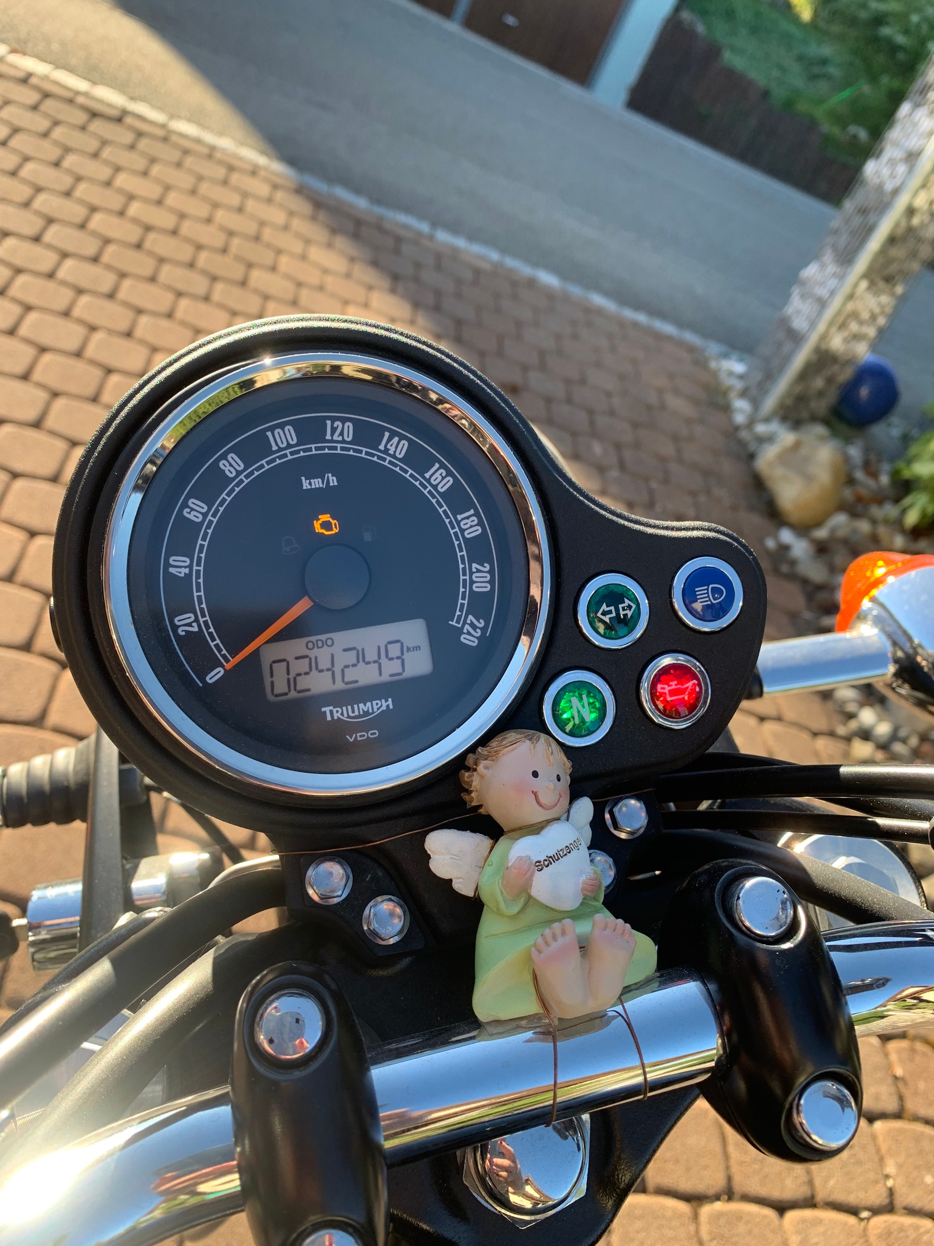 TRIUMPH SE 900 i-image-6