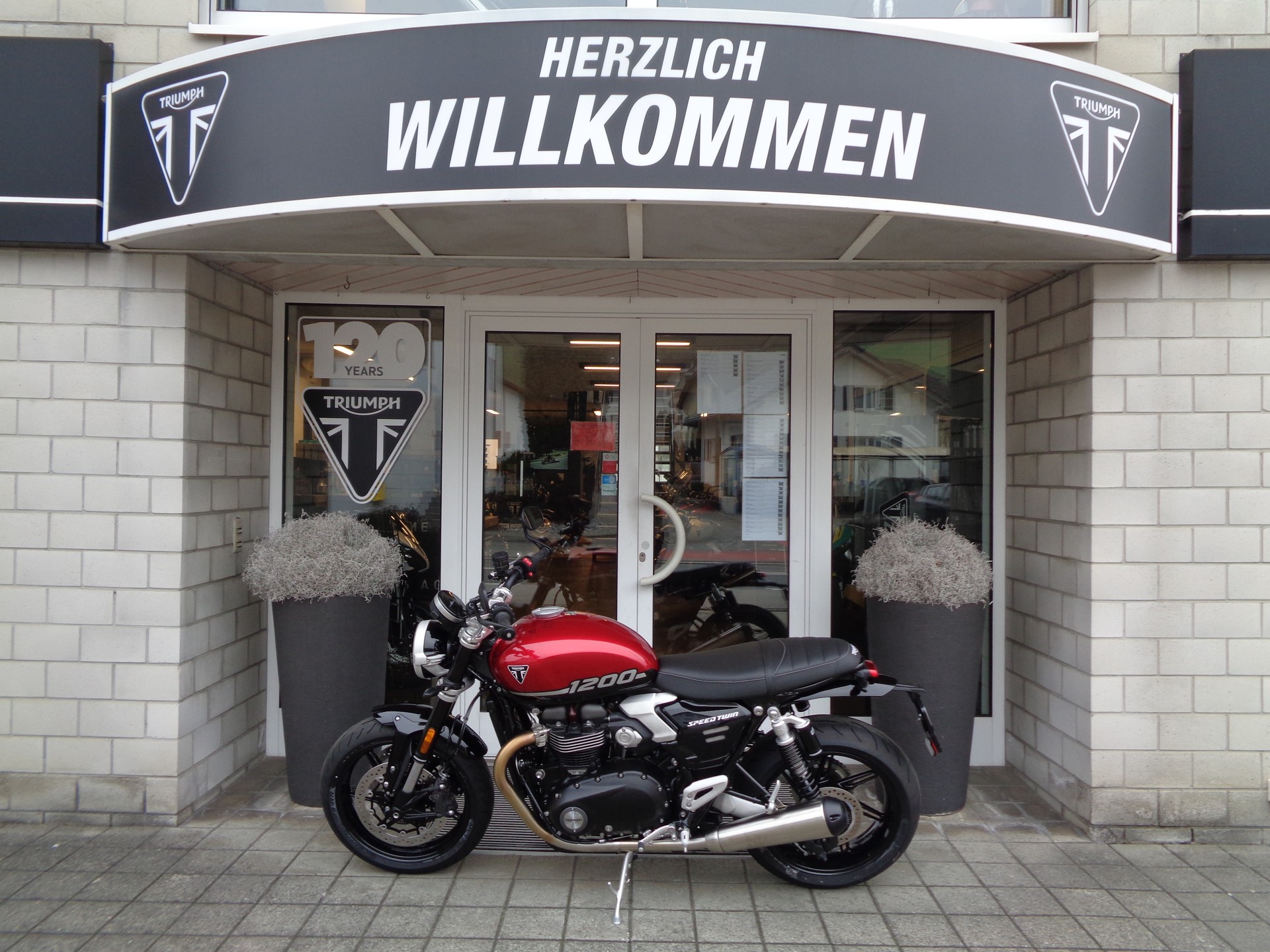 TRIUMPH Speed Twin 1200-image-3