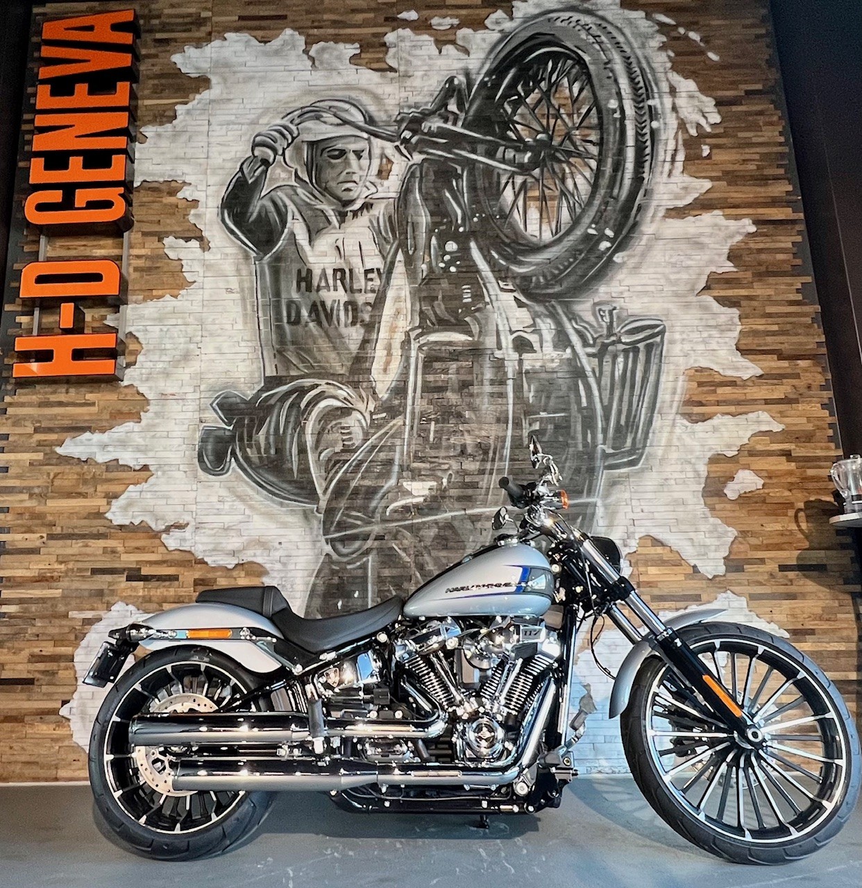 HARLEY-DAVIDSON FXBR Breakout 117-image-4