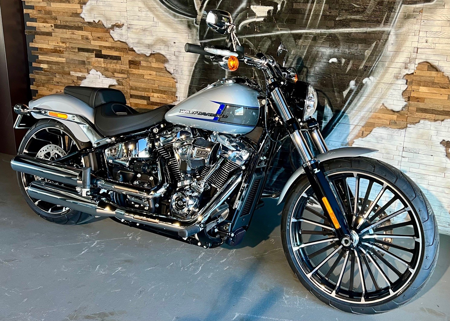 HARLEY-DAVIDSON FXBR Breakout 117-image-5