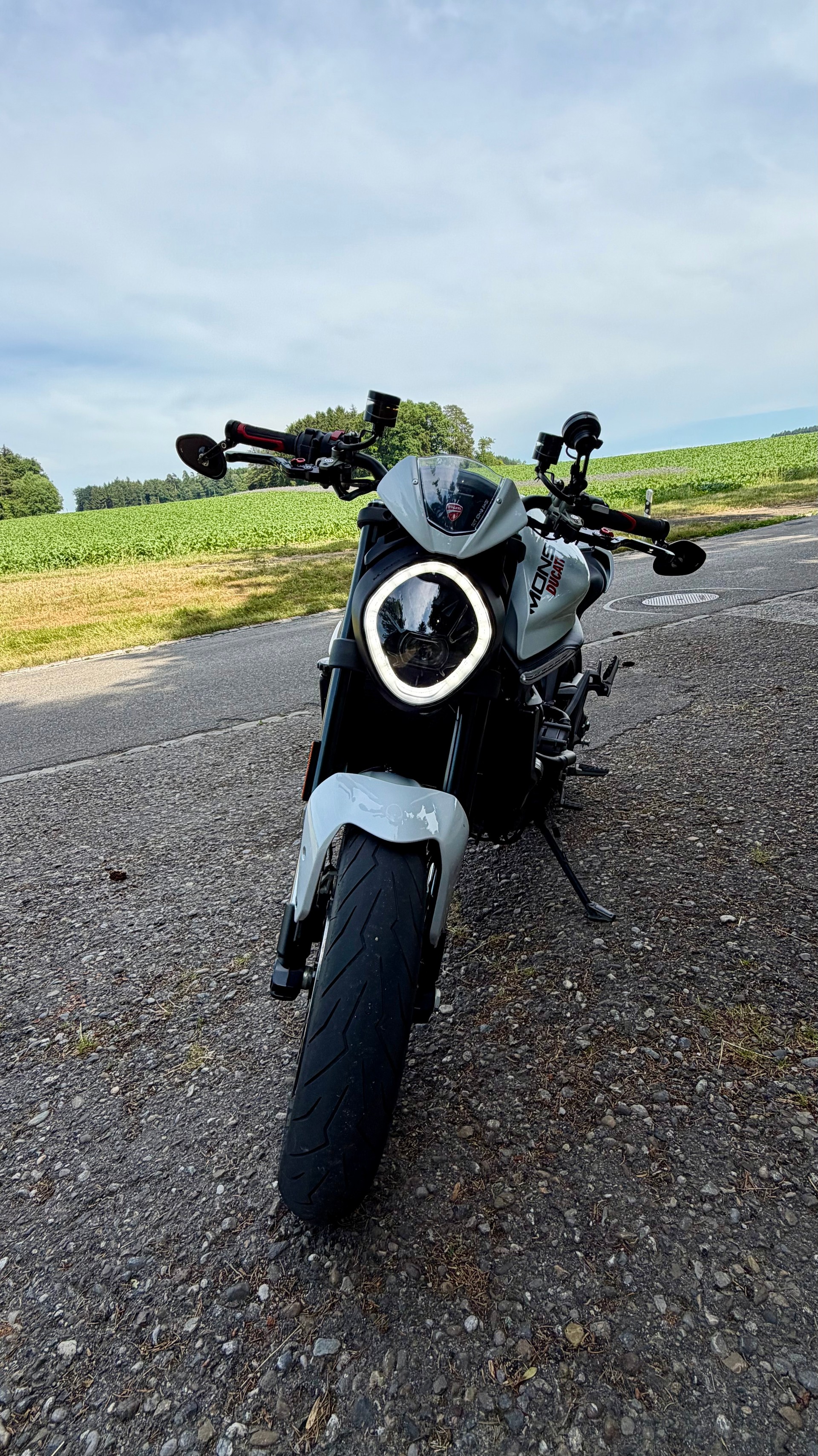 DUCATI Monster + 937 (35KW)-image-2