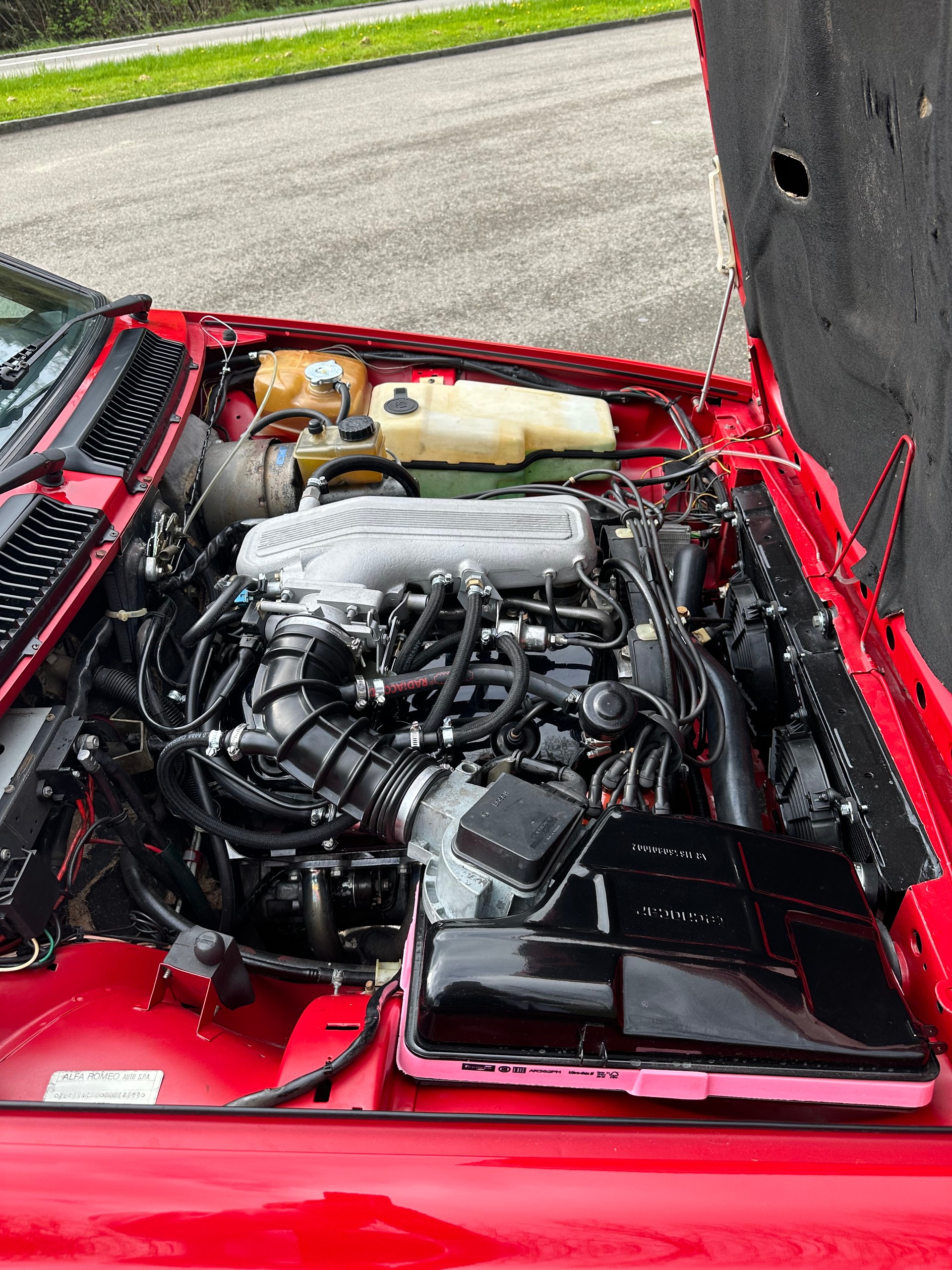 ALFA ROMEO Grand Prix-image-2