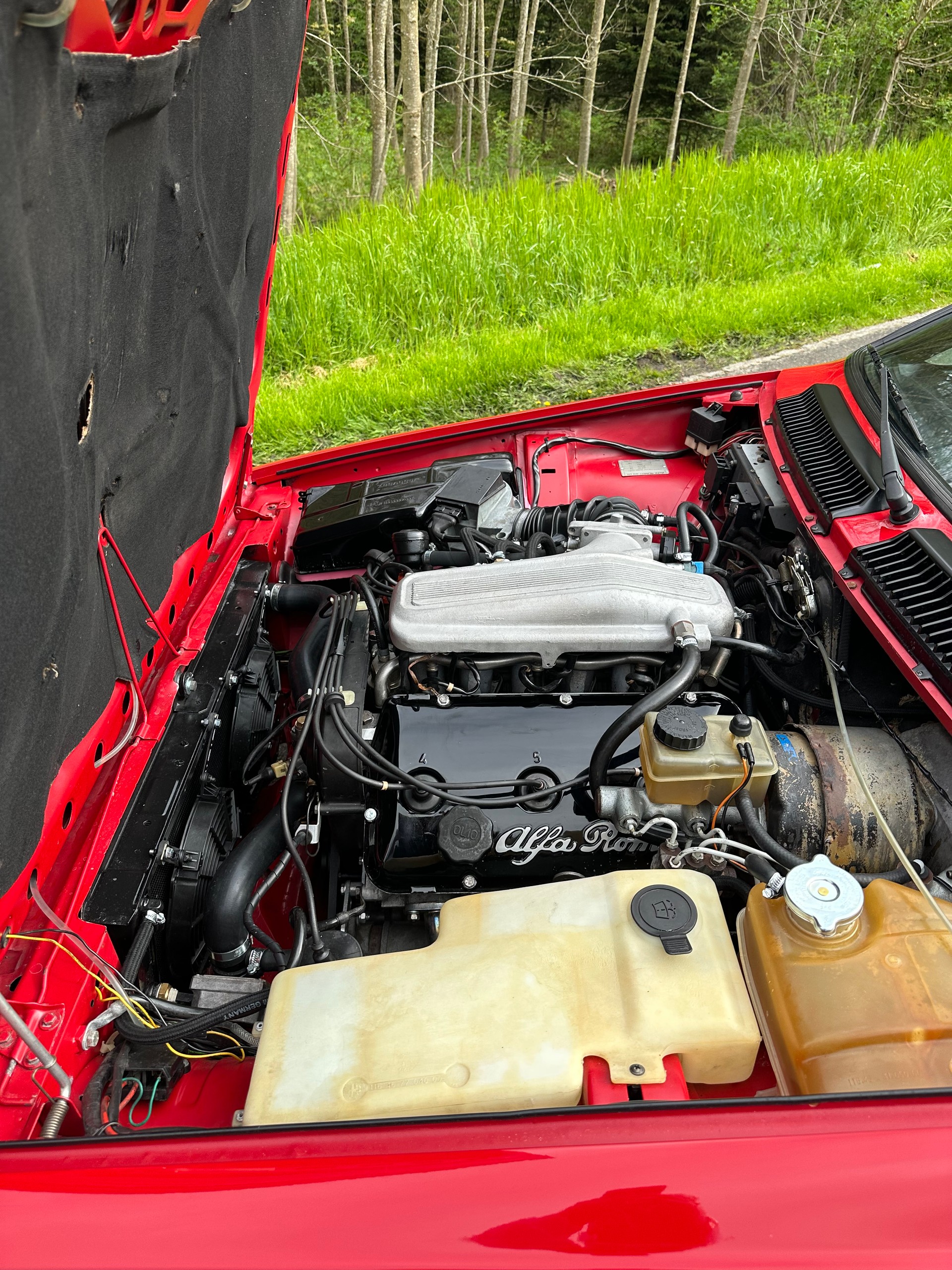 ALFA ROMEO Grand Prix-image-1