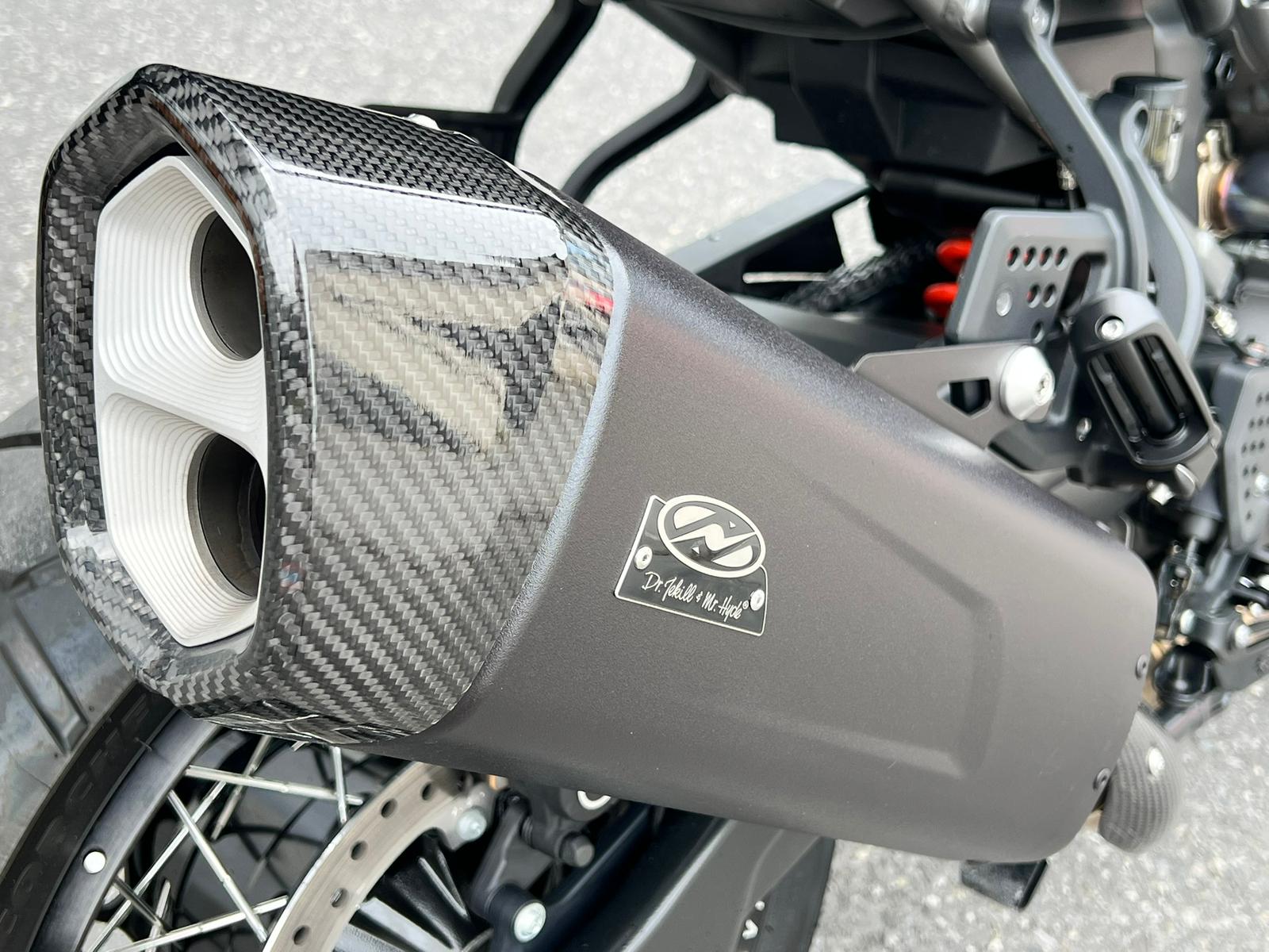 HARLEY-DAVIDSON RA Pan America 1250 Special-image-6