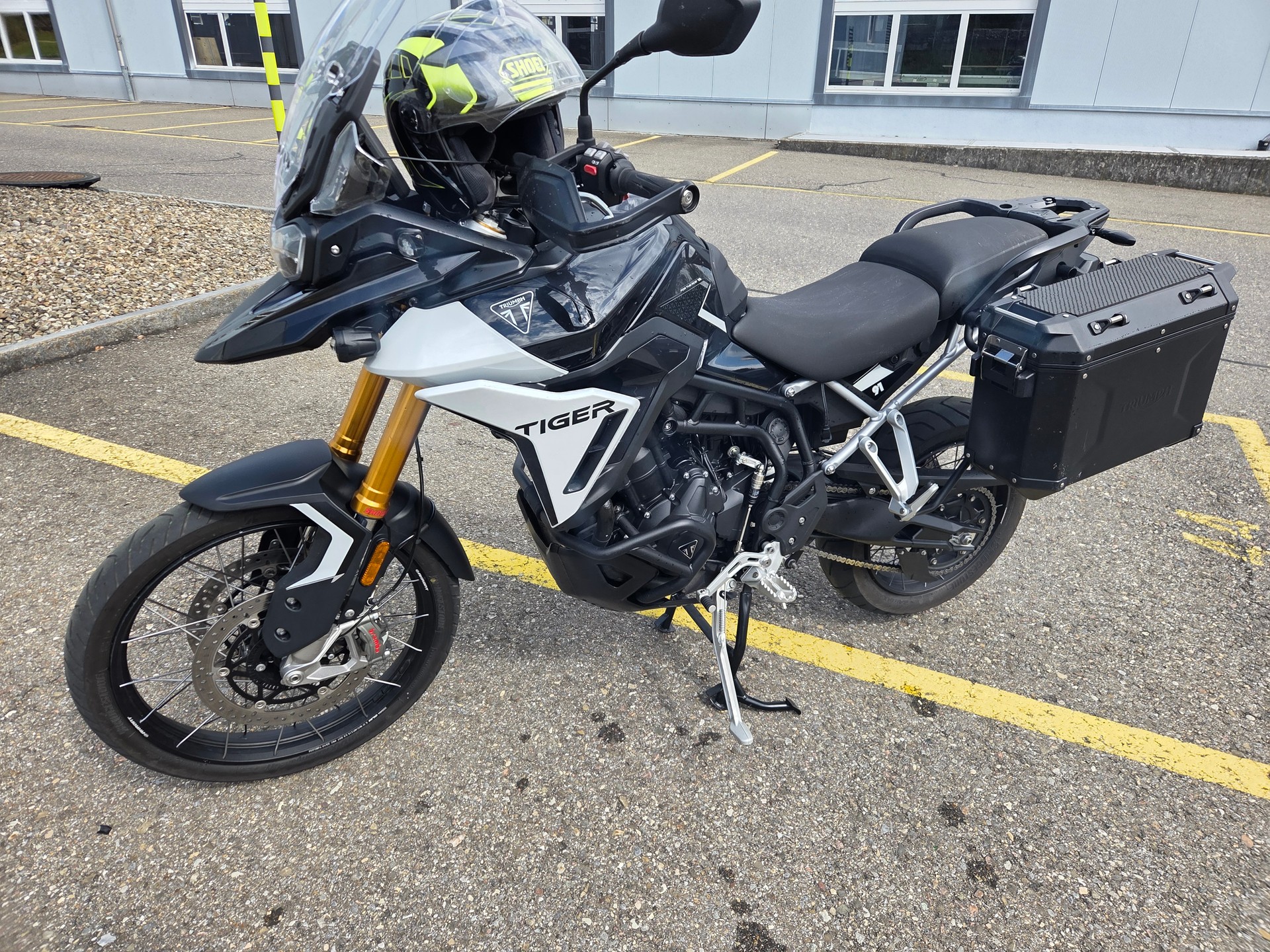 TRIUMPH Tiger 900 Rally Pro-image-0