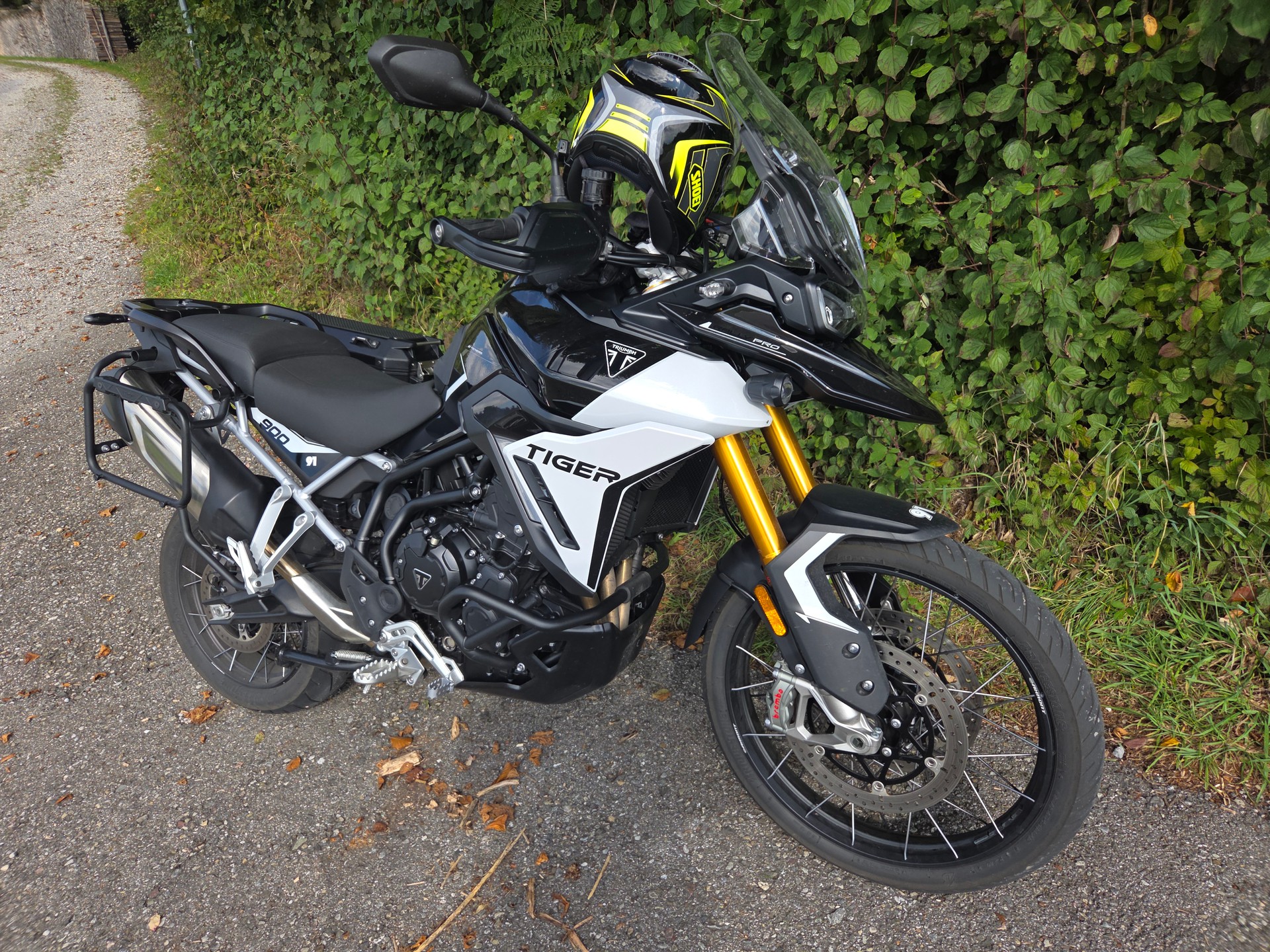 TRIUMPH Tiger 900 Rally Pro-image-4