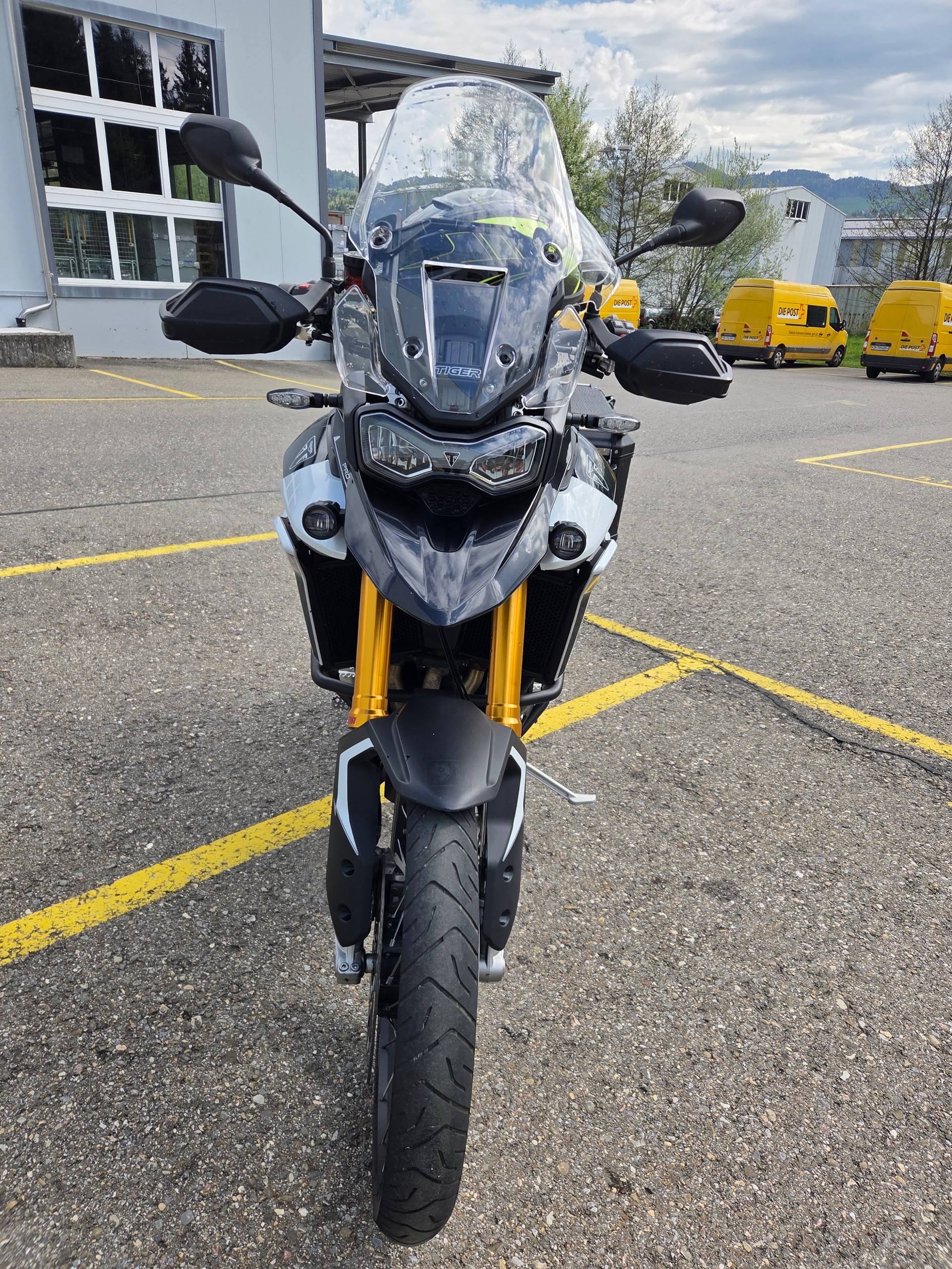 TRIUMPH Tiger 900 Rally Pro-image-3