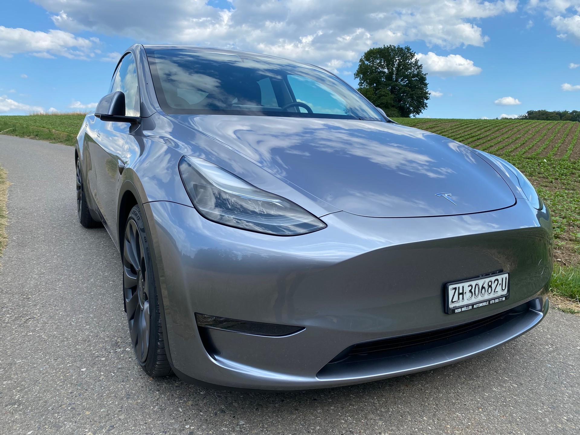 TESLA Model Y Performance