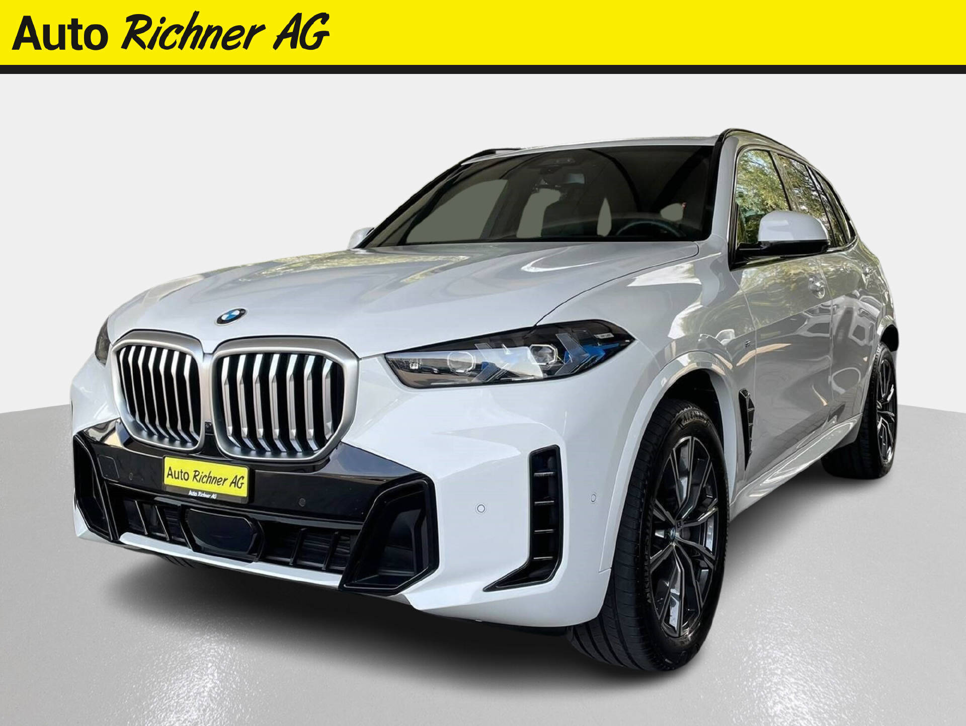 BMW X5 30d xDrive SAG-showroom-element-1