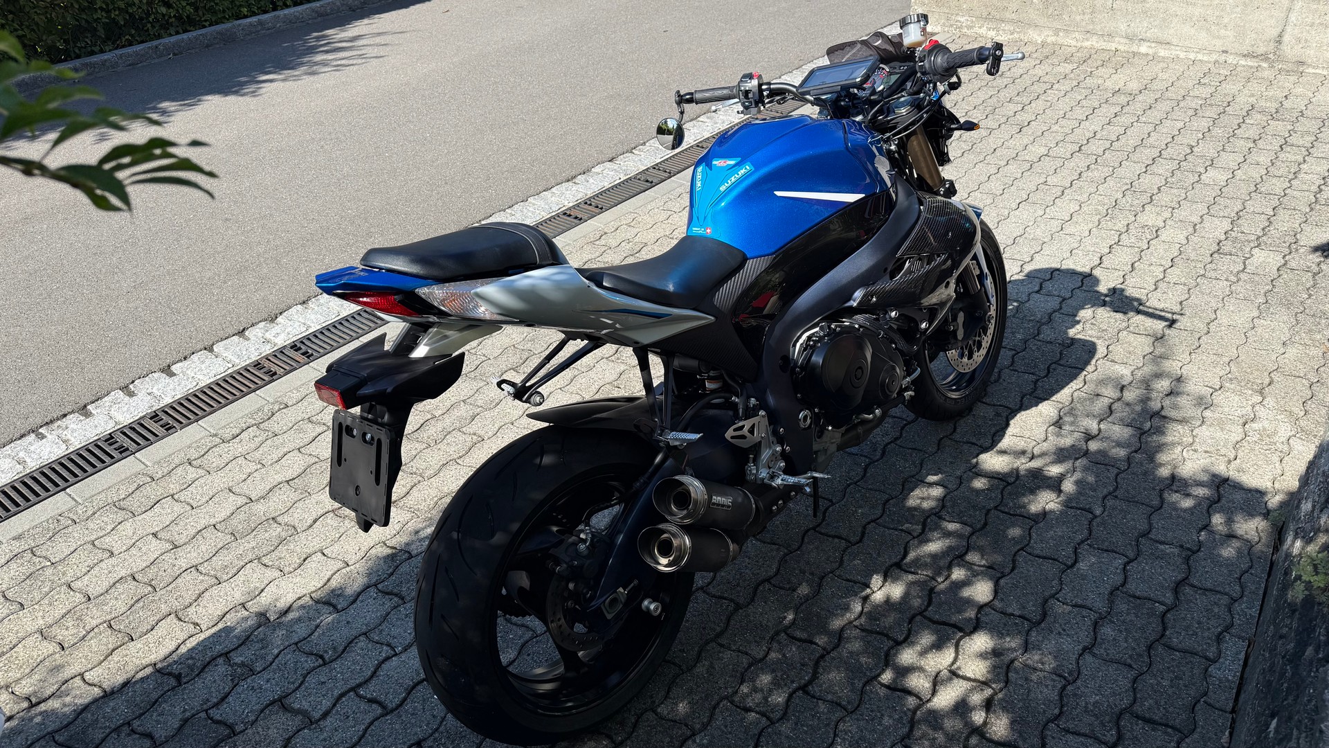 SUZUKI Virus-image-1