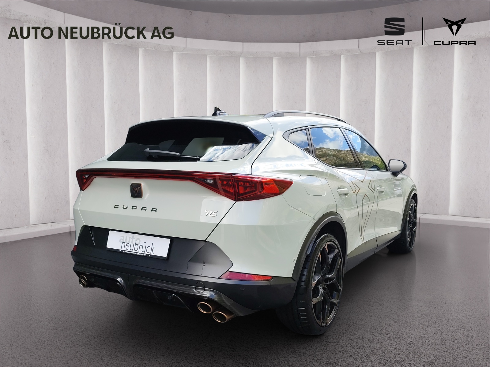 CUPRA Formentor 2.5TSI VZ5 Taiga Grey 4Drive DSG-showroom-element-3