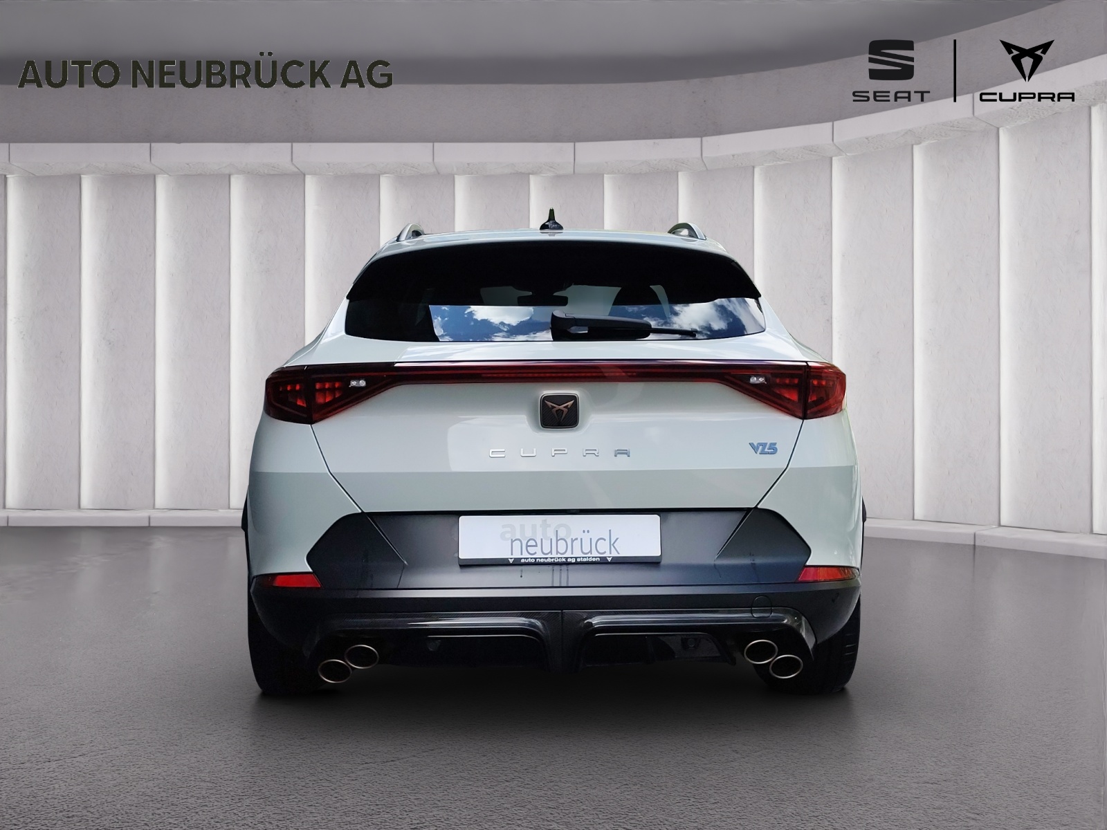 CUPRA Formentor 2.5TSI VZ5 Taiga Grey 4Drive DSG-showroom-element-2