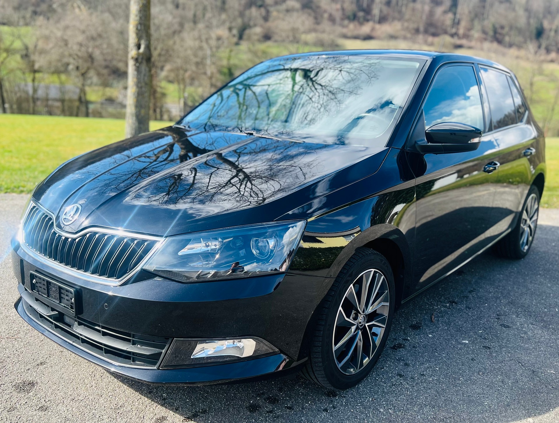 SKODA Fabia 1.2 TSI Swiss Edition DSG-image-1