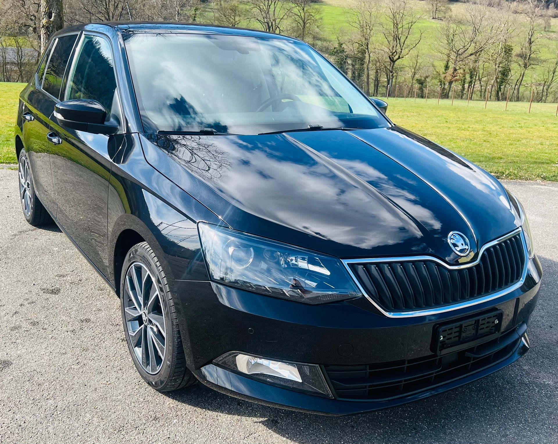 SKODA Fabia 1.2 TSI Swiss Edition DSG