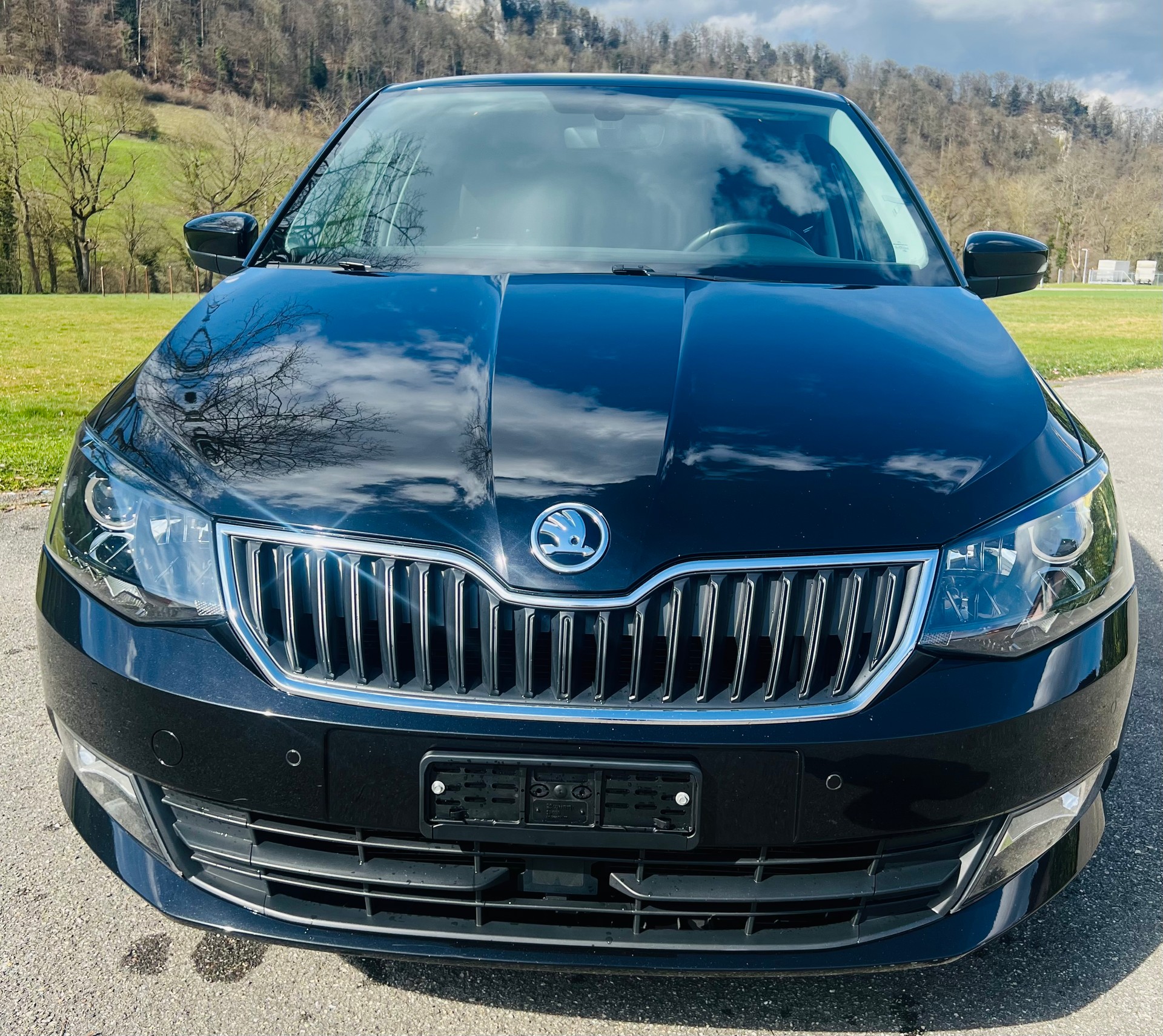 SKODA Fabia 1.2 TSI Swiss Edition DSG-image-4