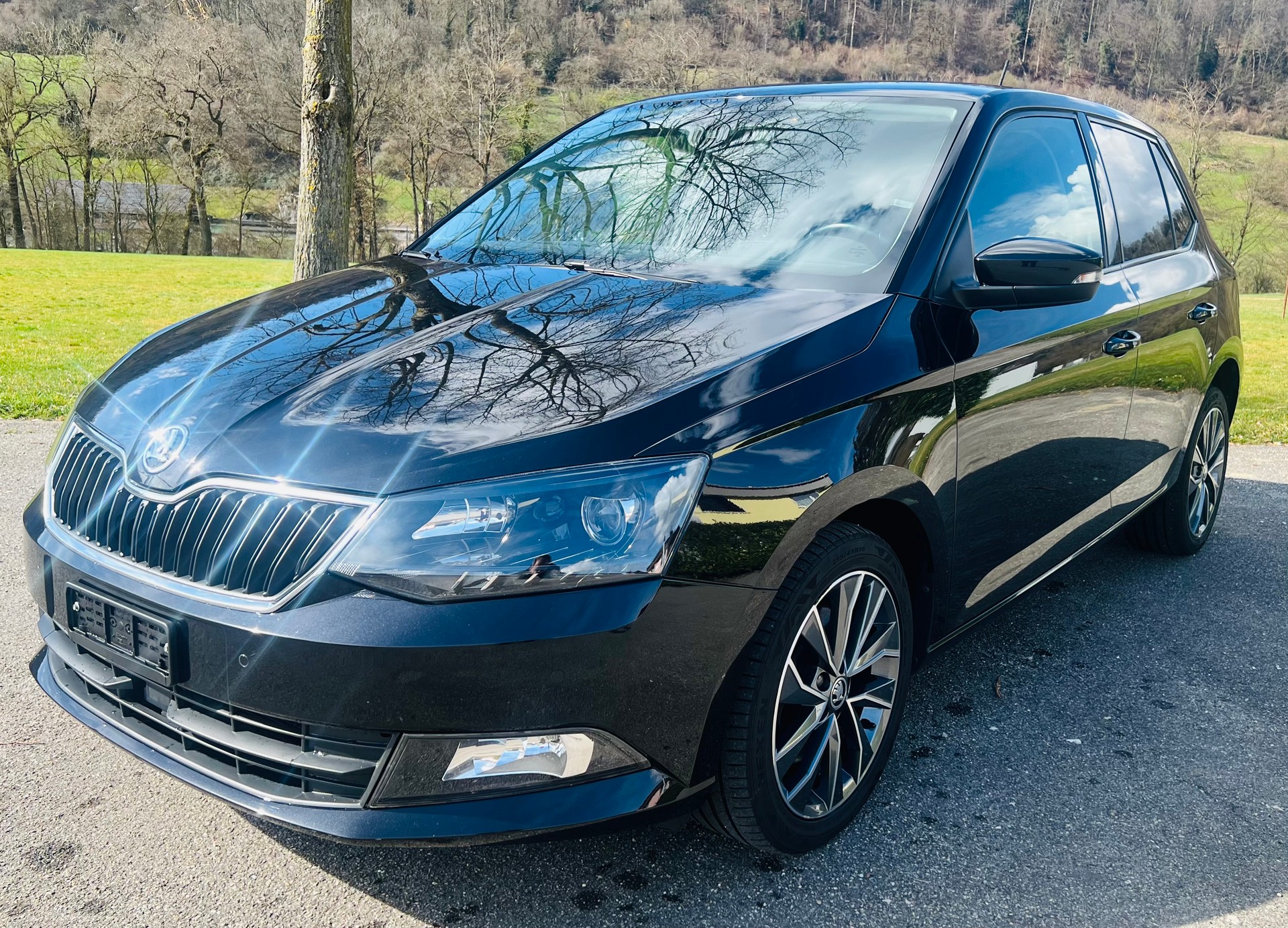 SKODA Fabia 1.2 TSI Swiss Edition DSG-image-3