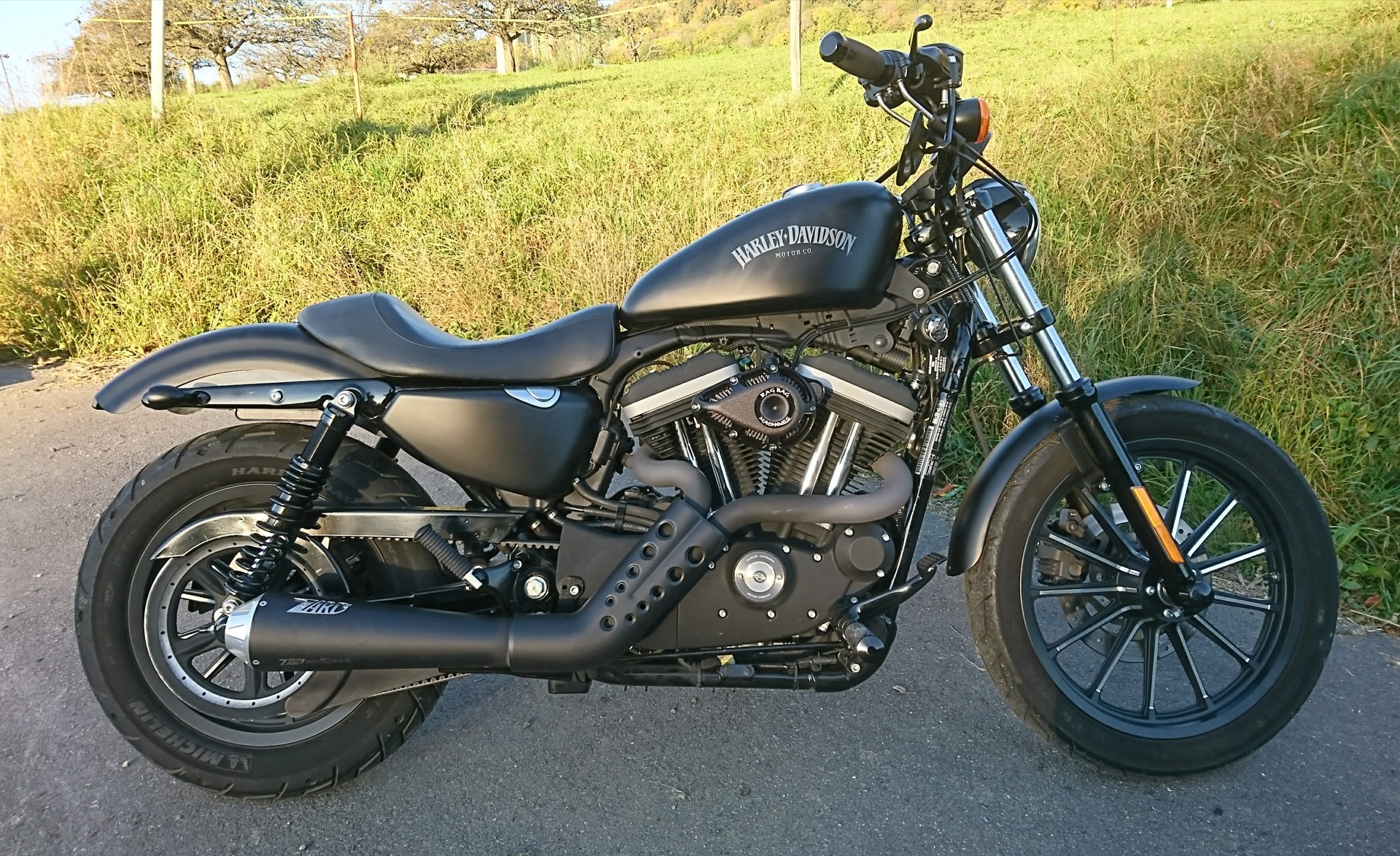 HARLEY-DAVIDSON XL 883 N Sportster Iron-image-0