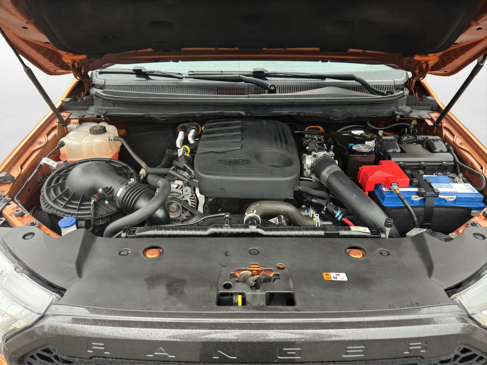 FORD Ranger Wildtrak 3.2 TDCi 4x4 A-image-17