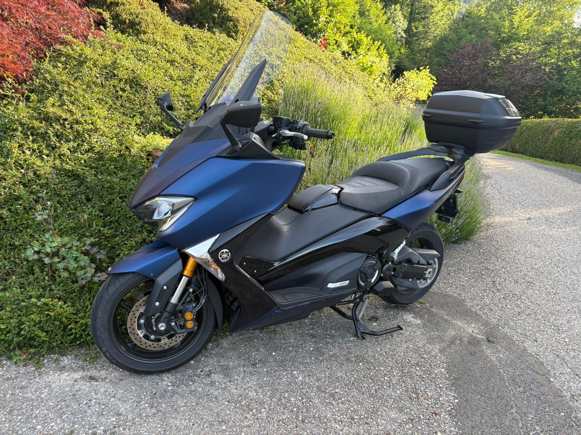 YAMAHA T-MAX XP 530 DX ABS-image-2