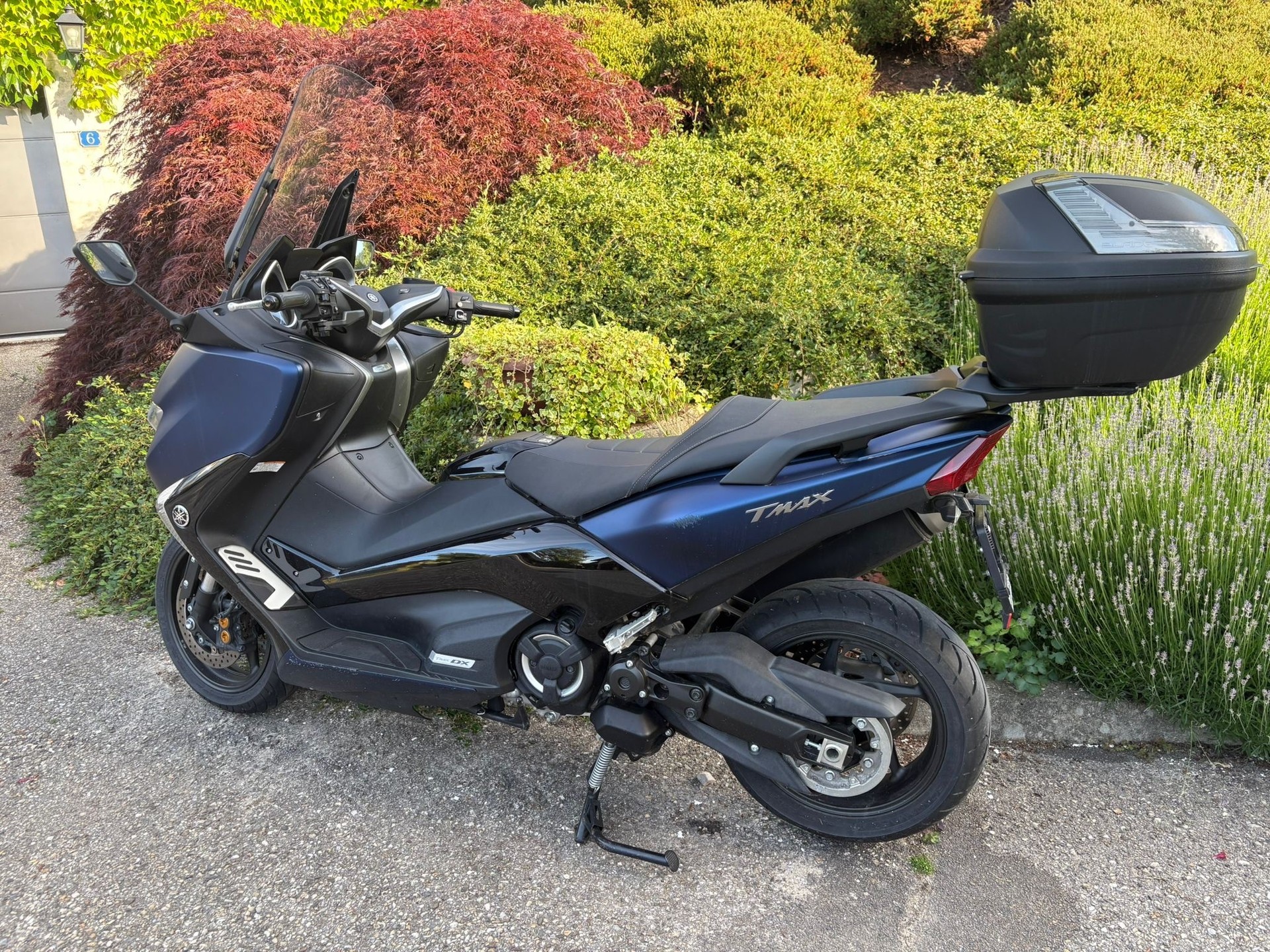 YAMAHA T-MAX XP 530 DX ABS-image-1