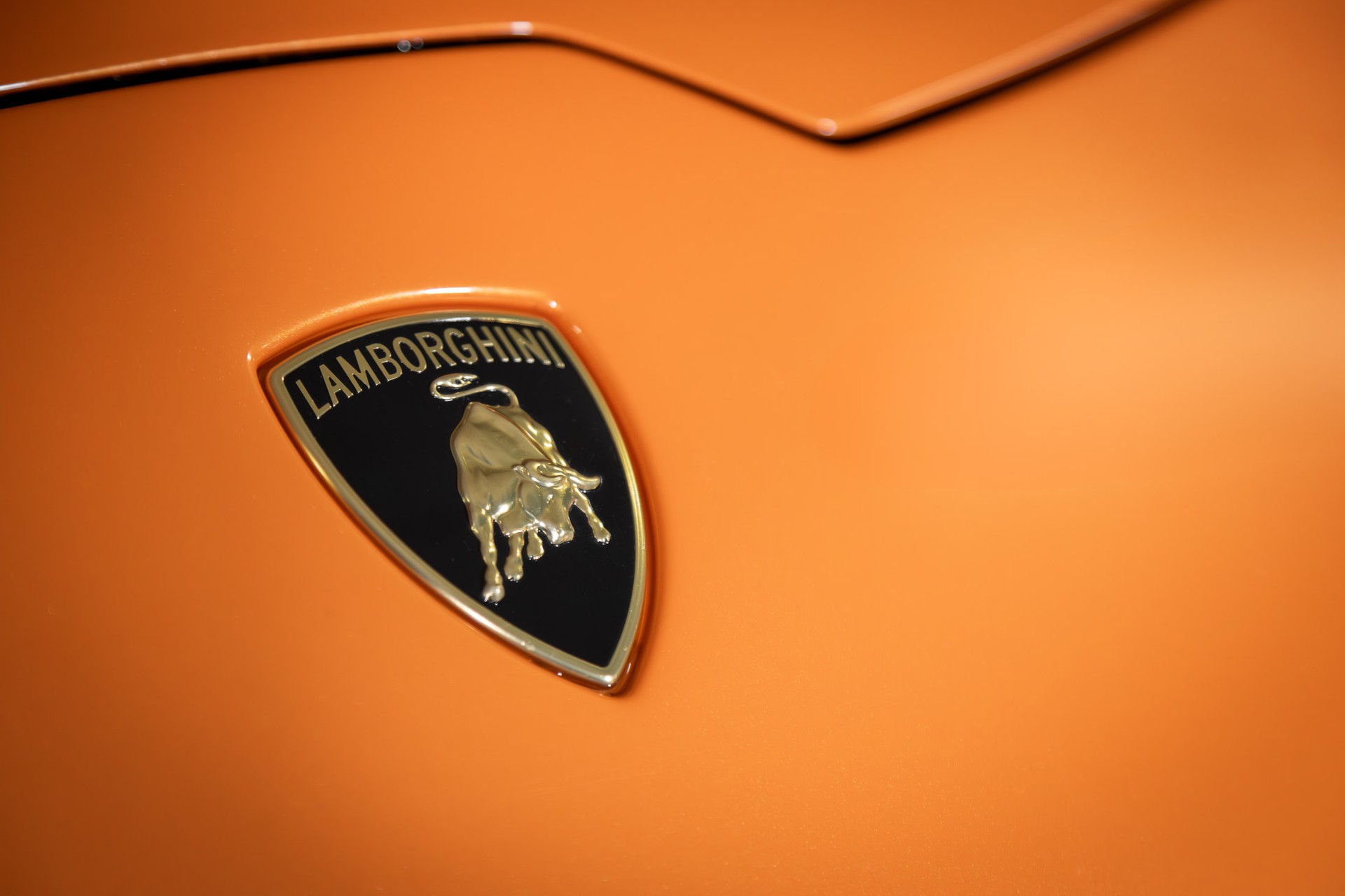LAMBORGHINI Huracan LP610-4 Spyder DCT-image-6