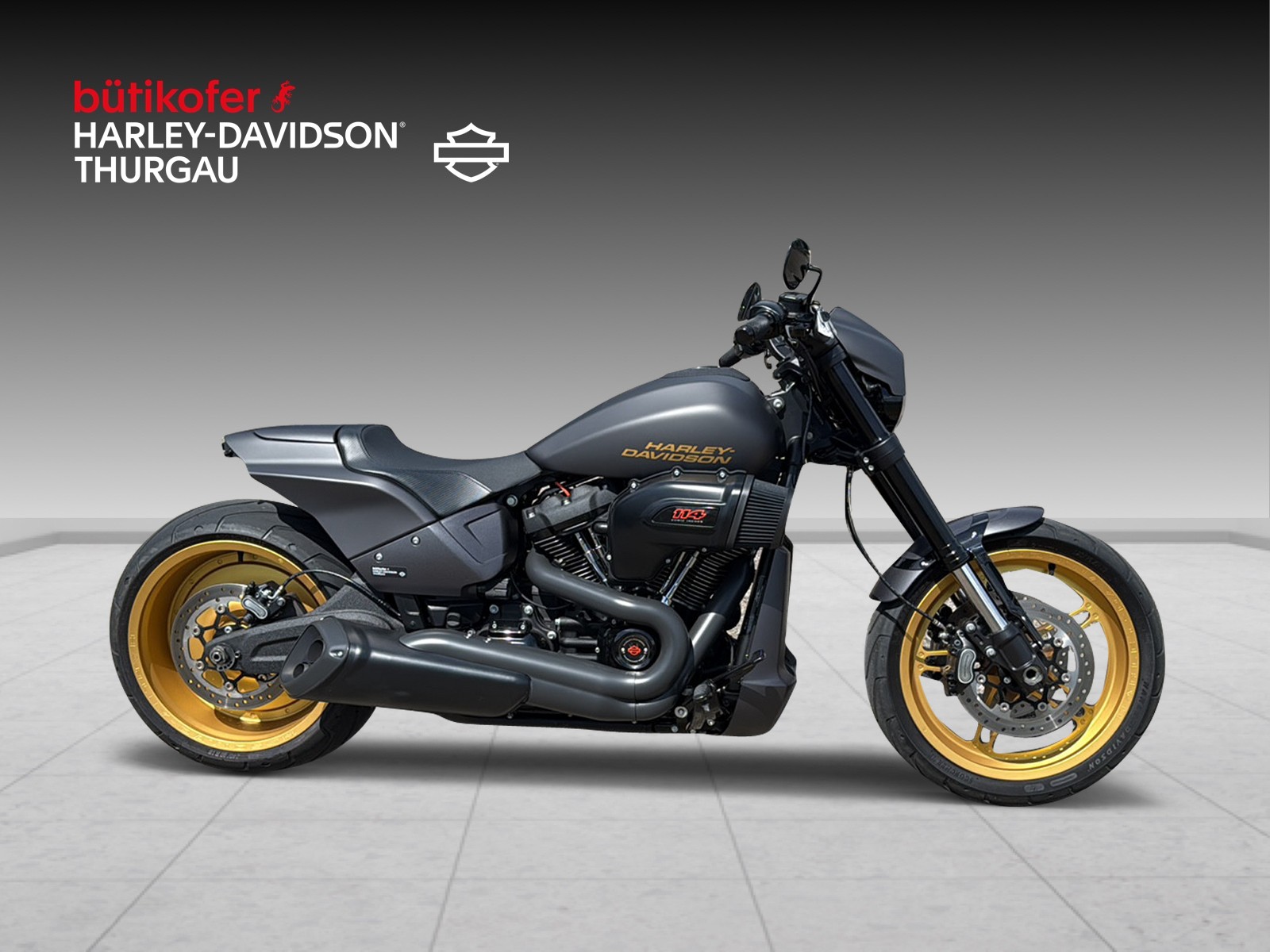 HARLEY-DAVIDSON FXDRS 114 ABS-image-1