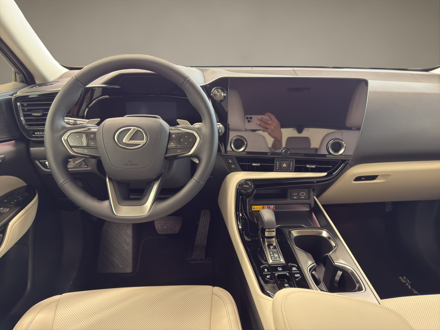 LEXUS NX 450h+ Excellence-image-9