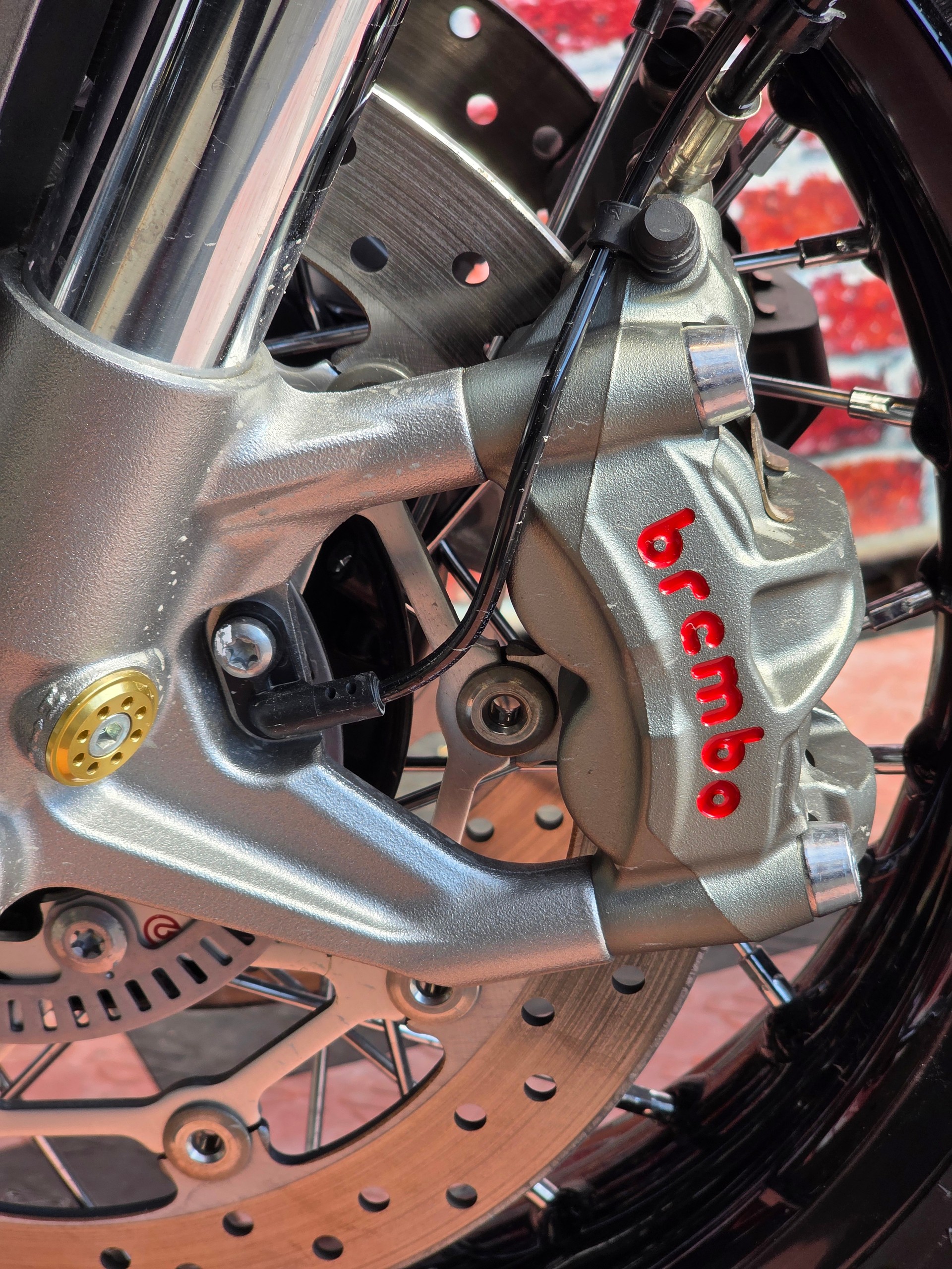 TRIUMPH Thruxton 1200 i RS ABS-image-11