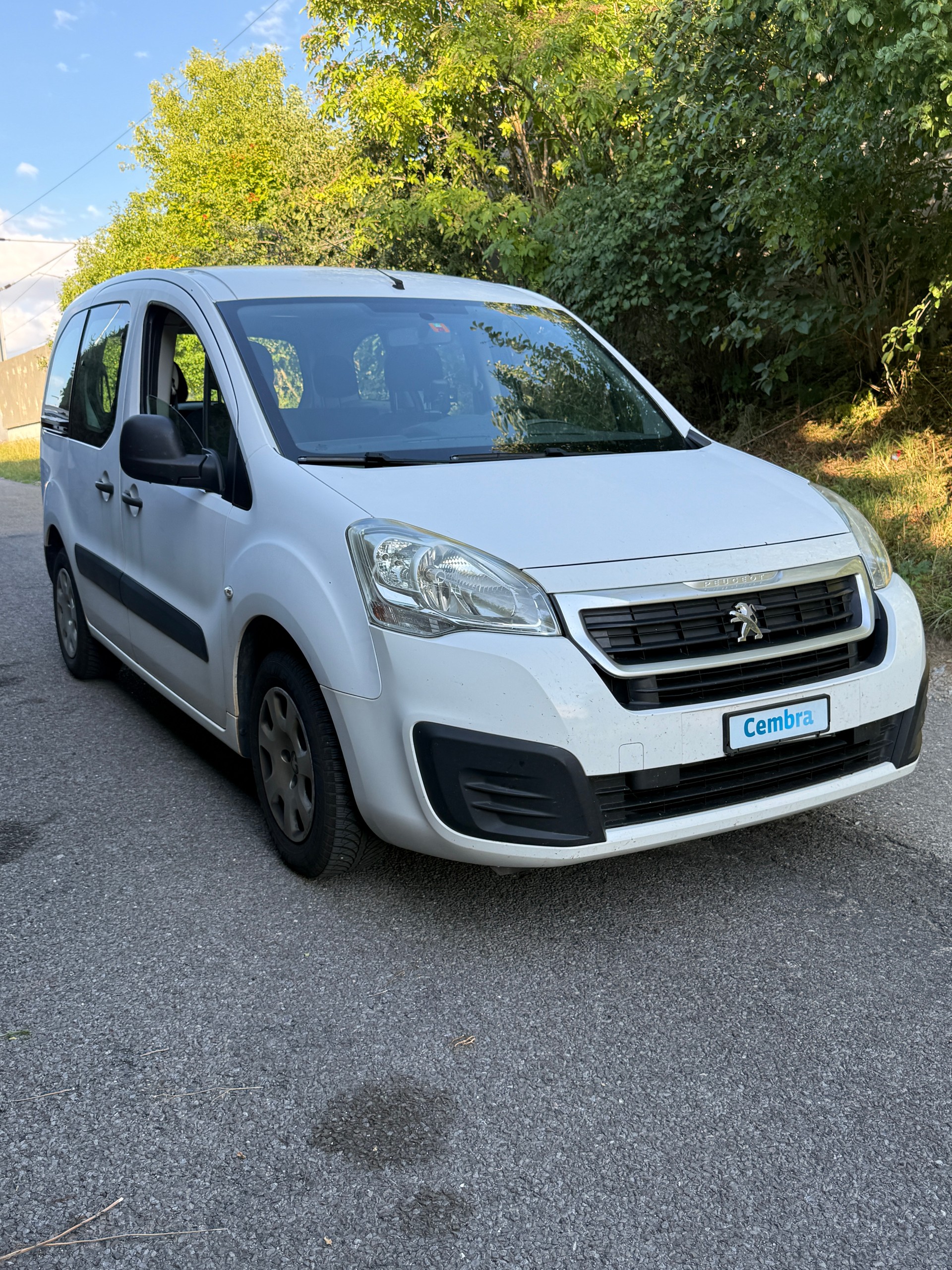 PEUGEOT Partner 1.6 BlueHDi Active ETG6-showroom-element-1