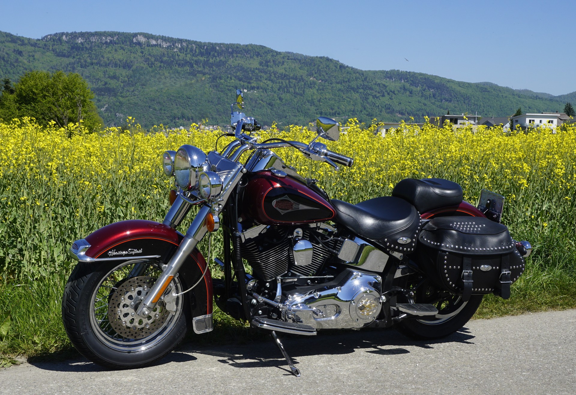 HARLEY-DAVIDSON FLSTC-I Softail Classic-image-1
