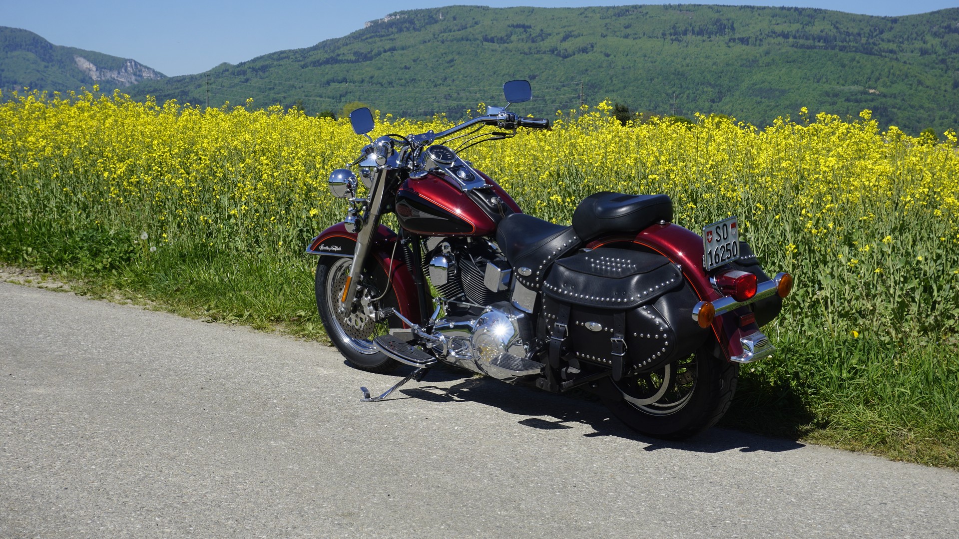 HARLEY-DAVIDSON FLSTC-I Softail Classic-image-4