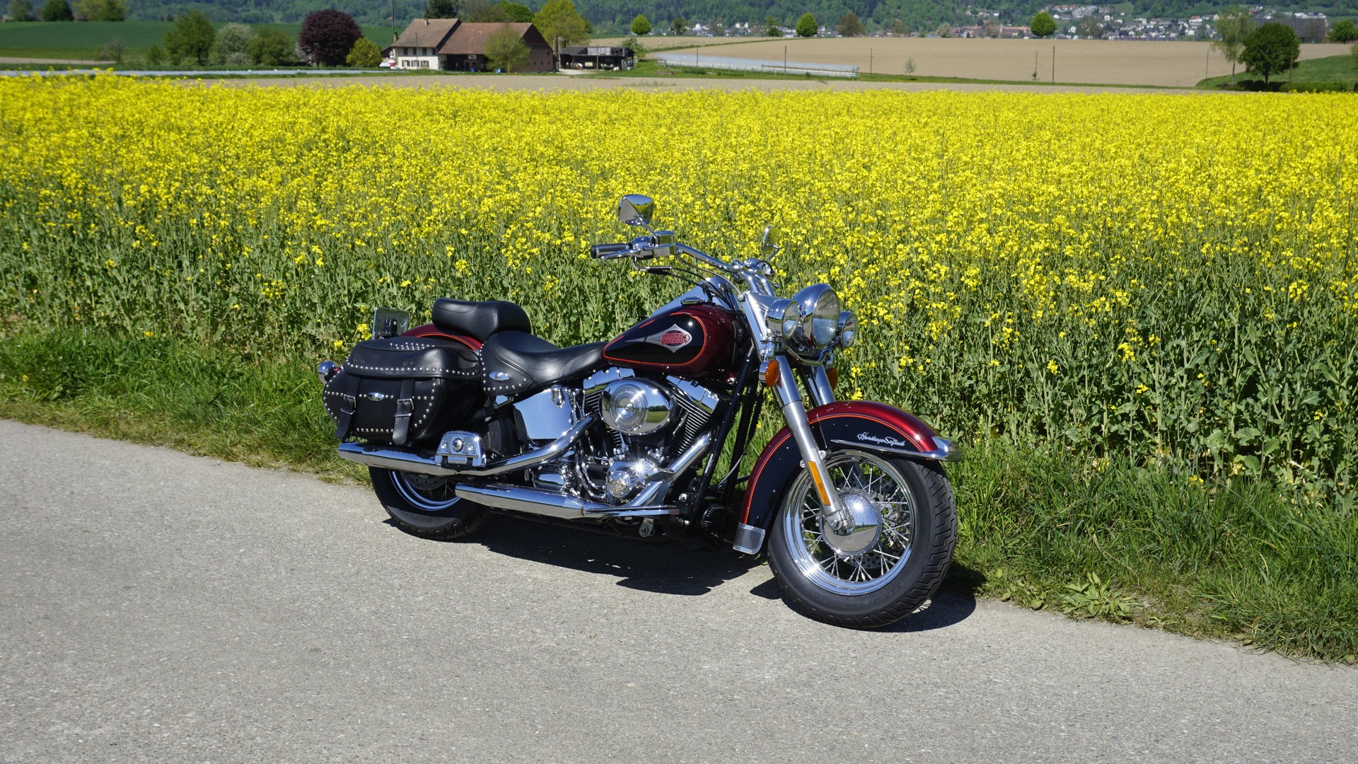 HARLEY-DAVIDSON FLSTC-I Softail Classic-image-2