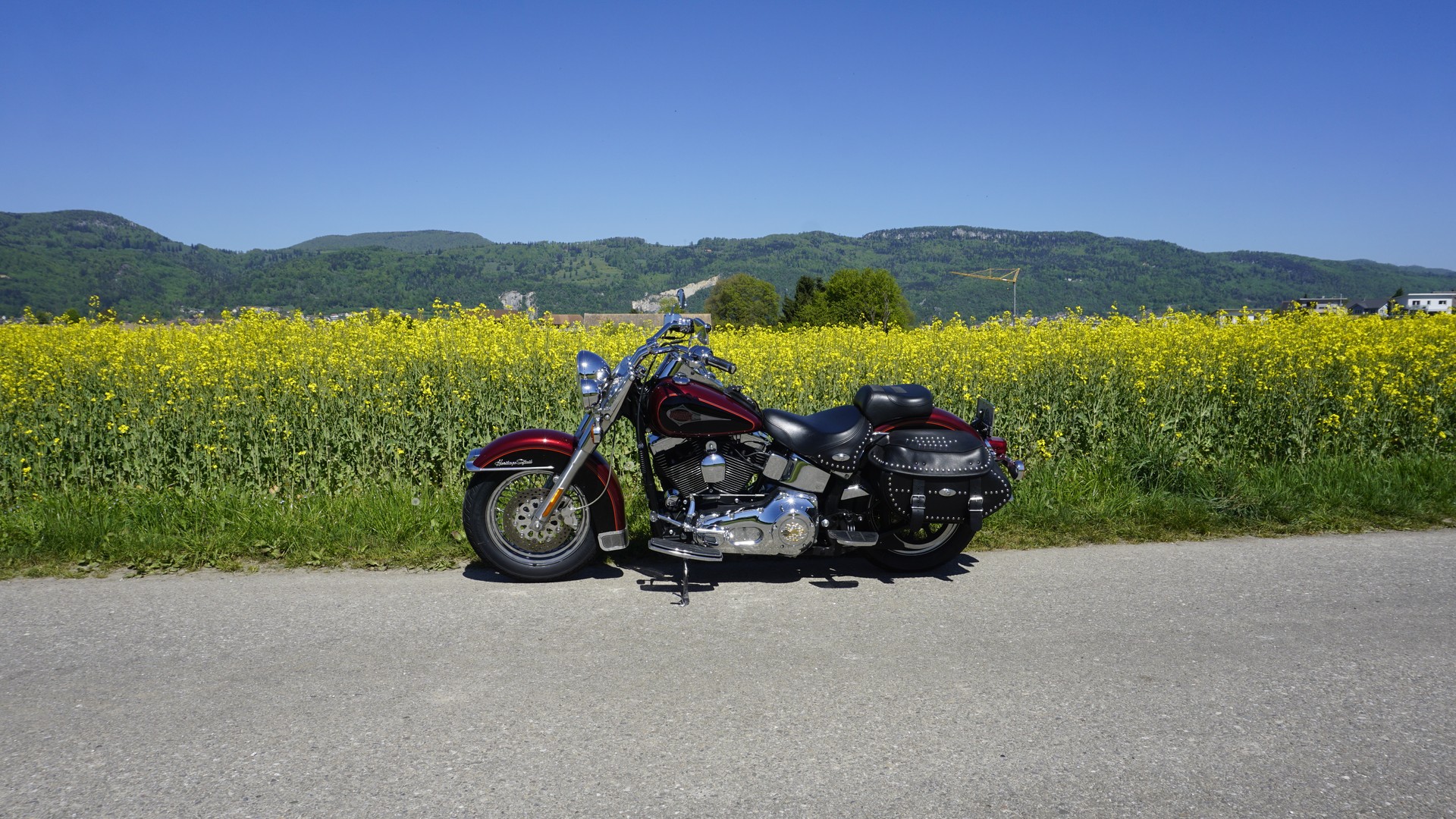 HARLEY-DAVIDSON FLSTC-I Softail Classic-image-3
