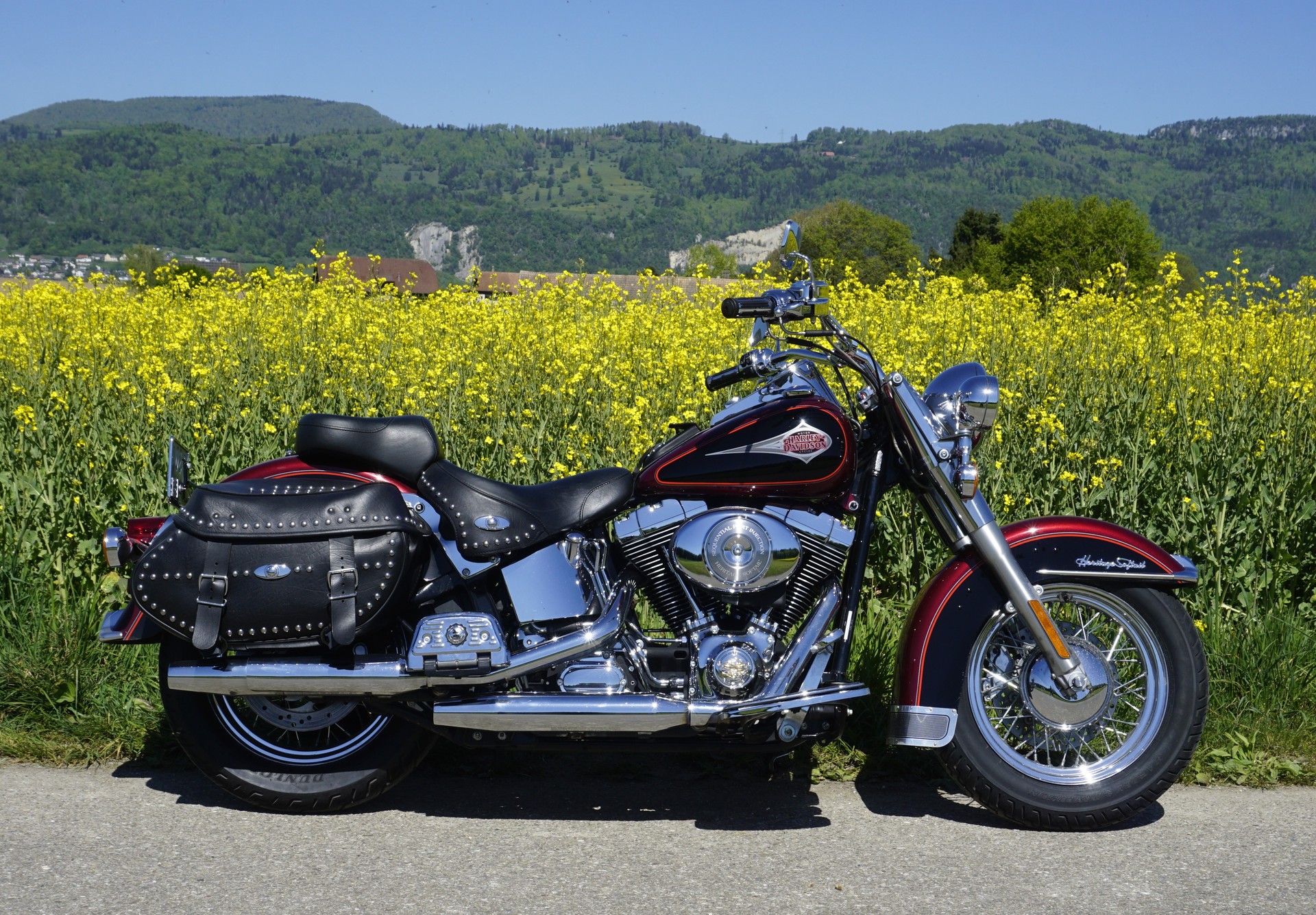 HARLEY-DAVIDSON FLSTC-I Softail Classic-image-0