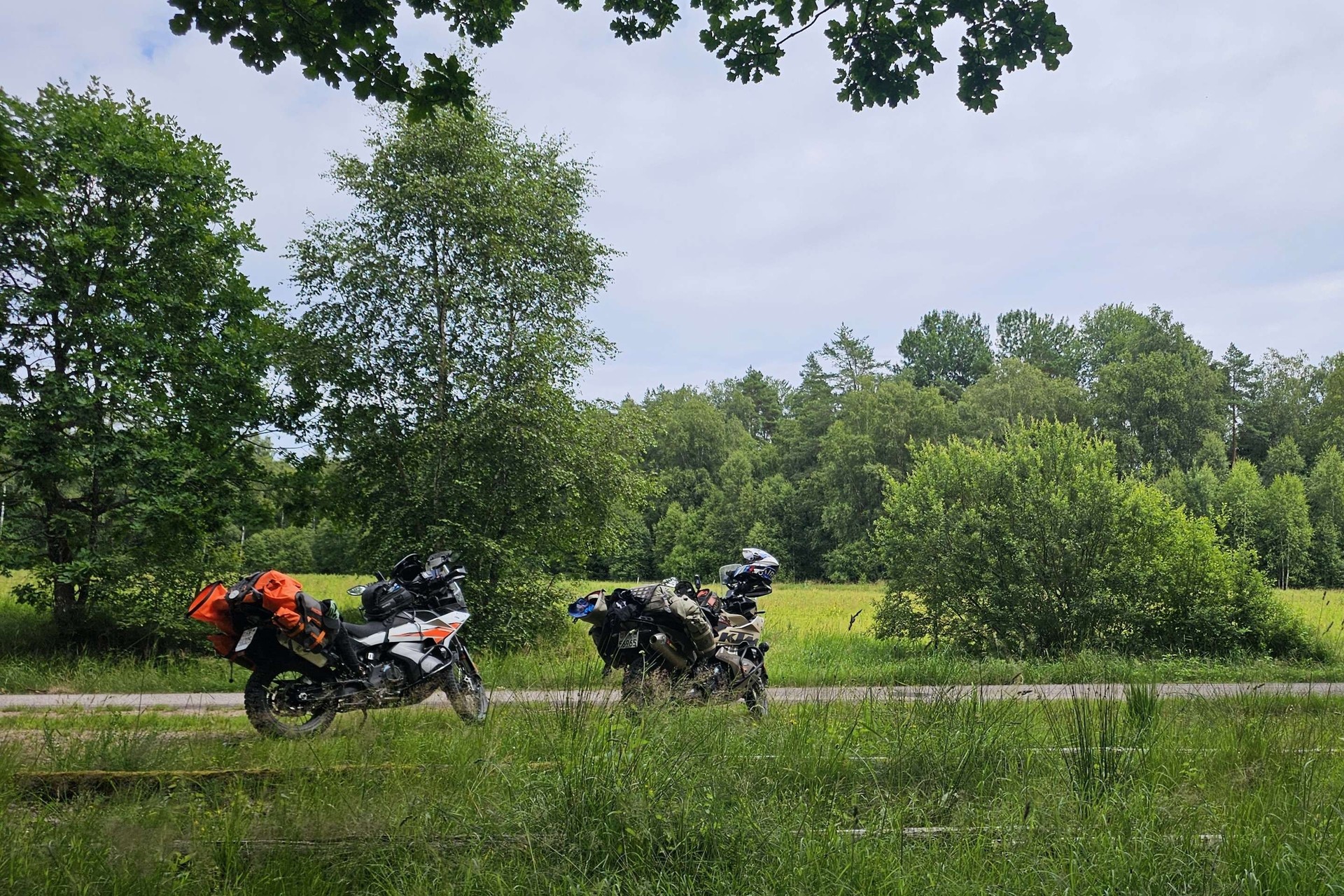 KTM 790 Adventure-image-7