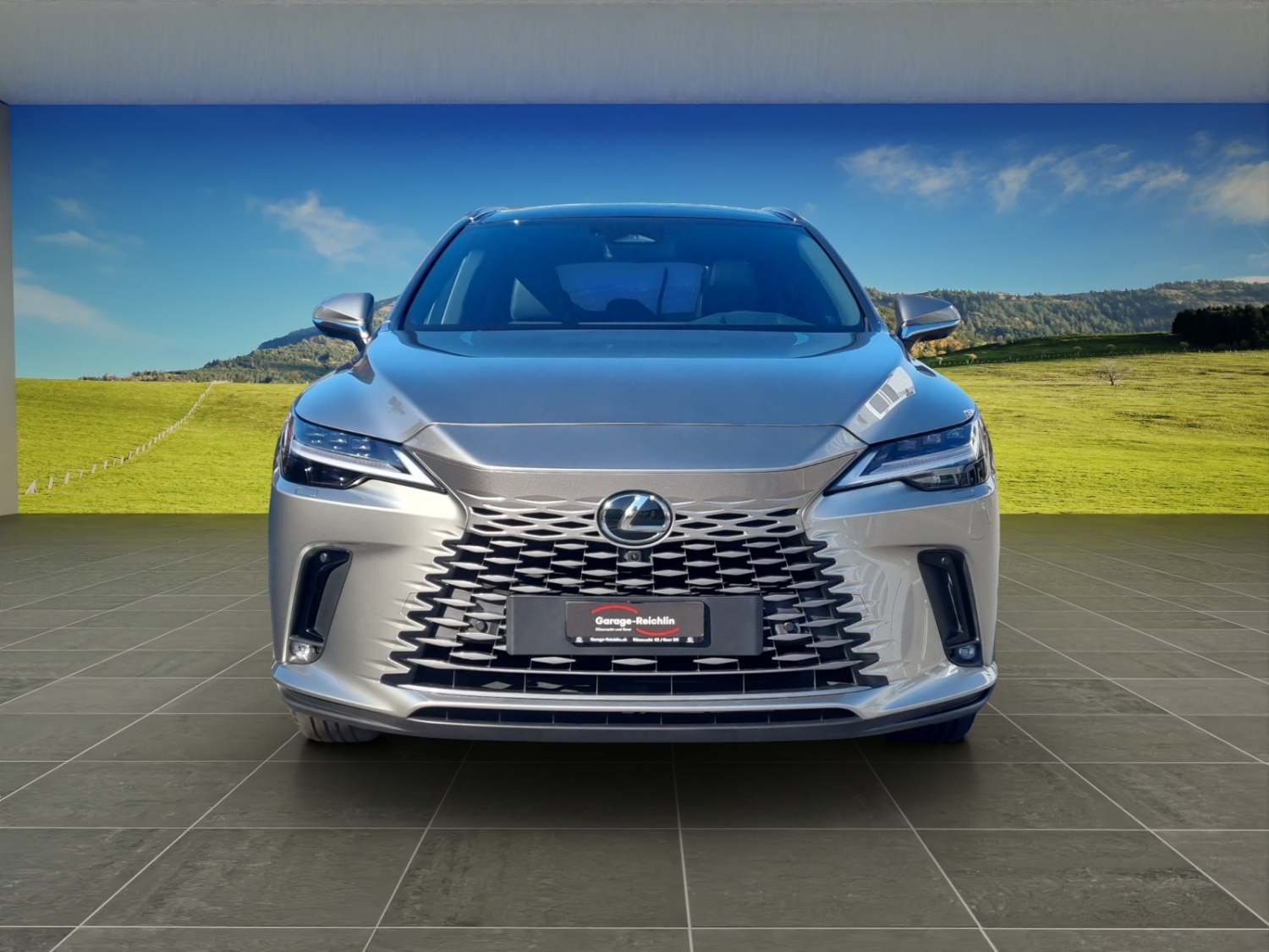 LEXUS RX 450h+ Excellence-image-7