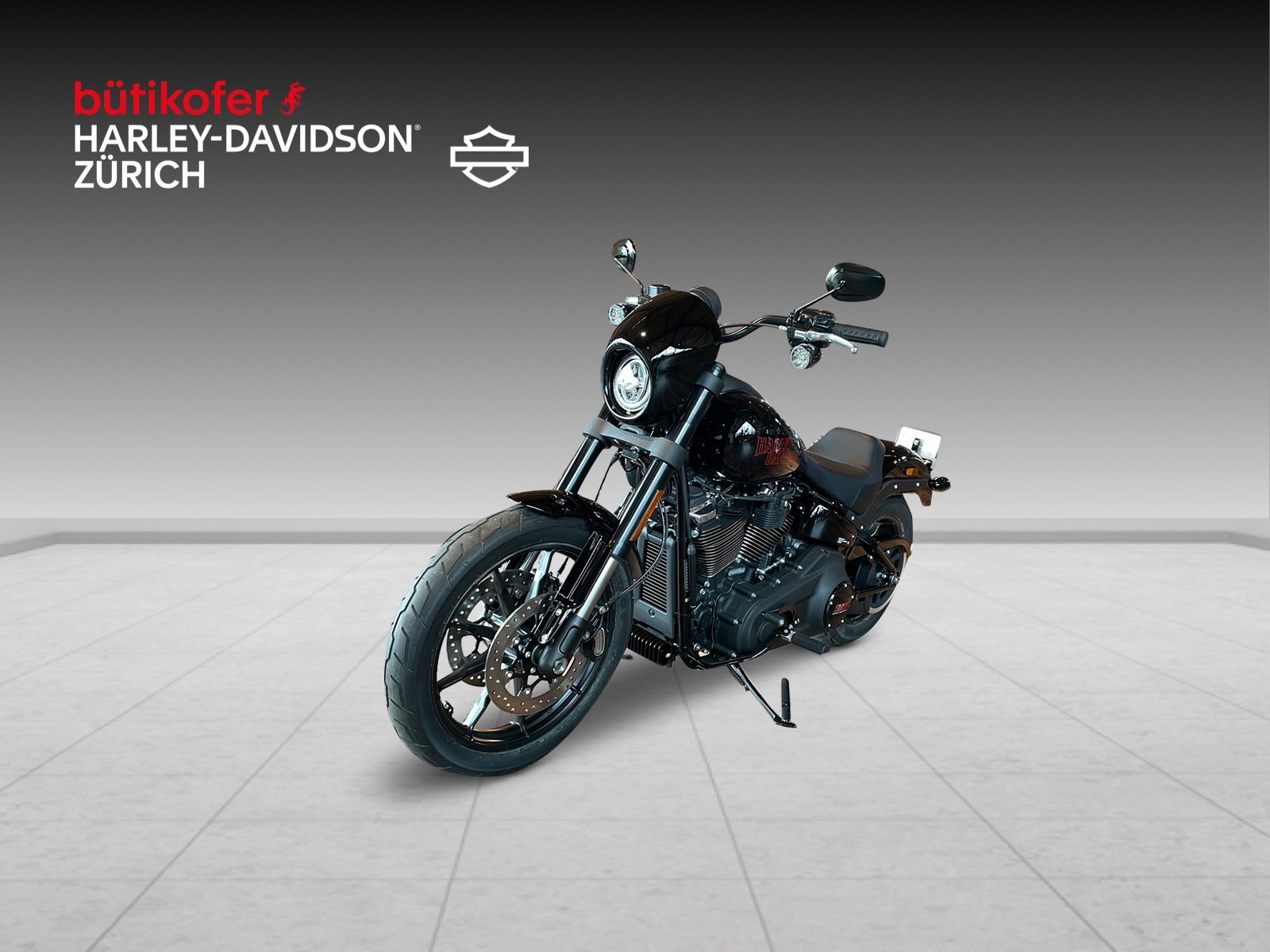 HARLEY-DAVIDSON FXLRS Low Rider S 117-image-2