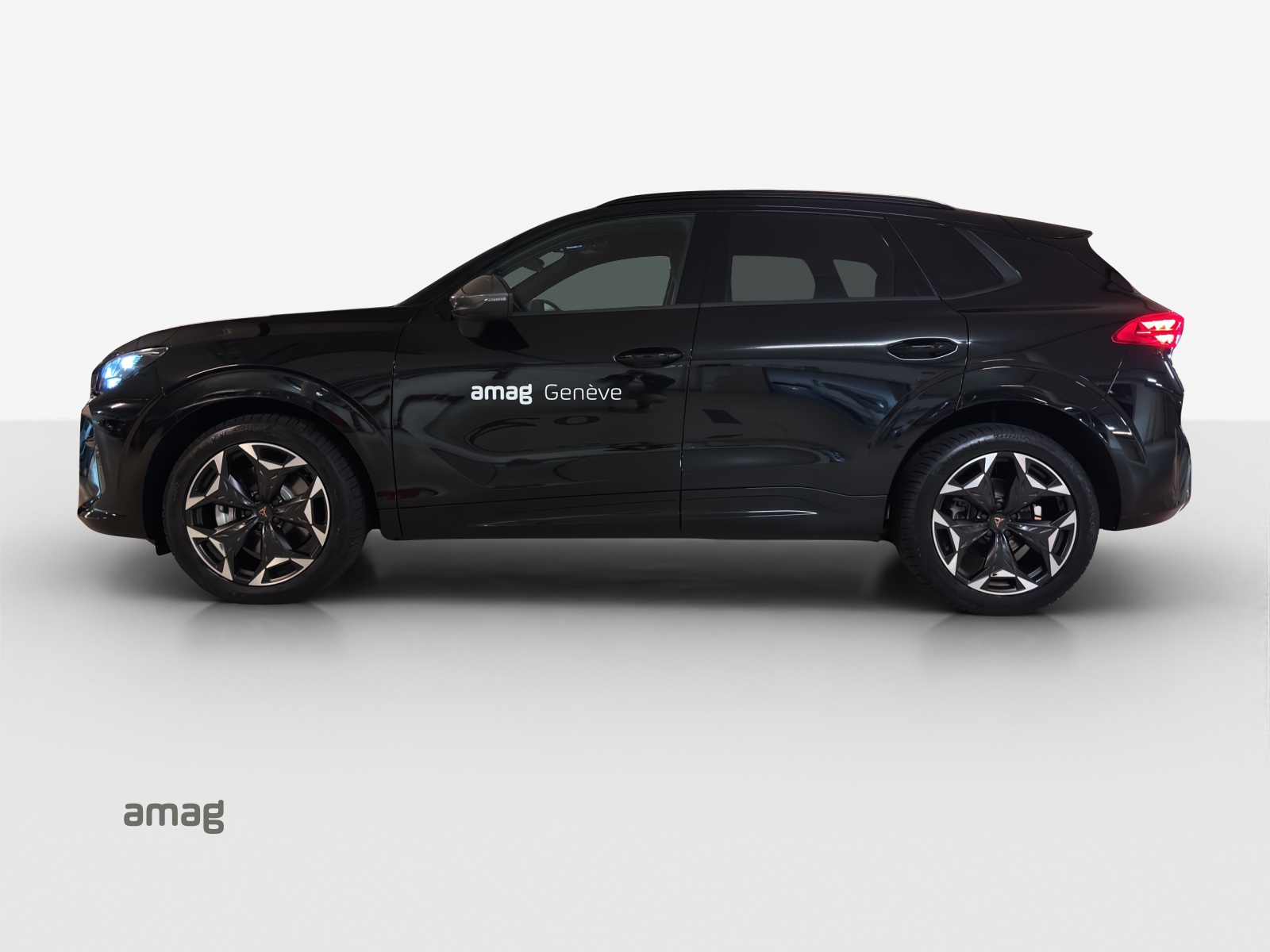 CUPRA Terramar 2.0 TSI DSG 4Drive-showroom-element-1