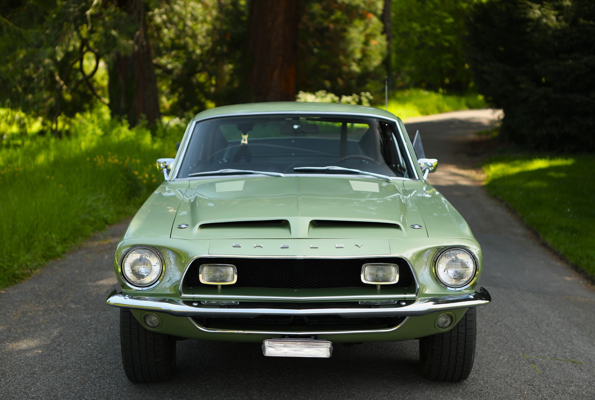 FORD Shelby GT 500 1968-image-3