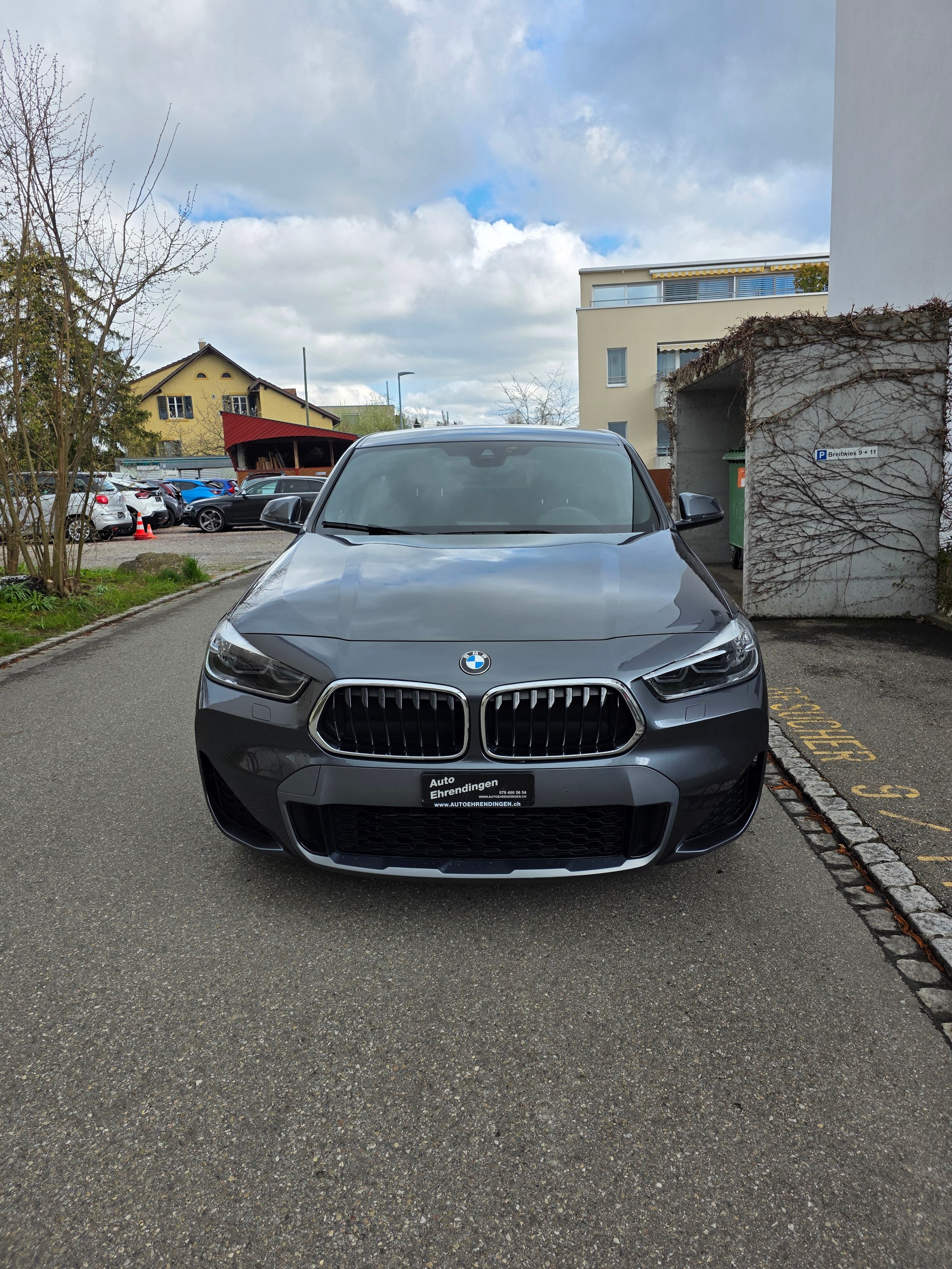 BMW X2 xDrive 20d M Sport X Steptronic-showroom-element-1
