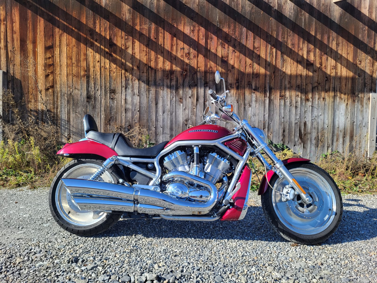 HARLEY-DAVIDSON VRSCA V-Rod A