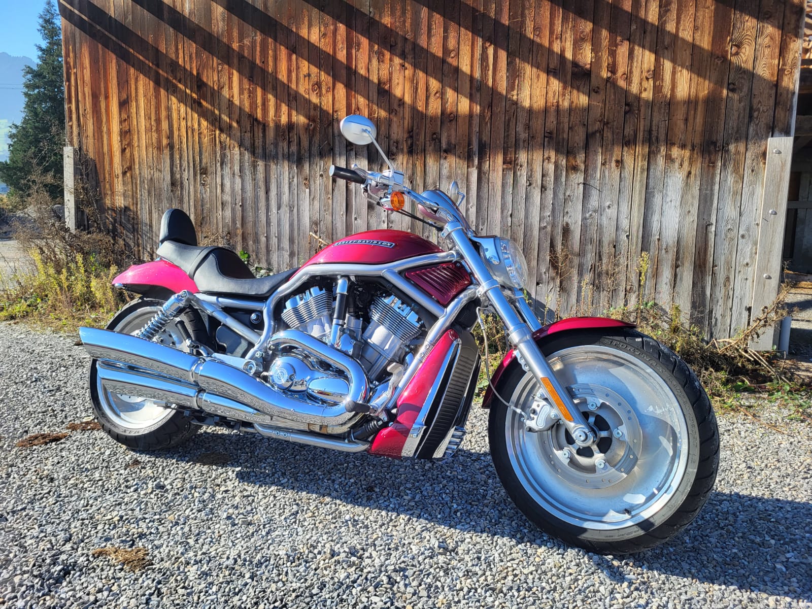 HARLEY-DAVIDSON VRSCA V-Rod A-image-1