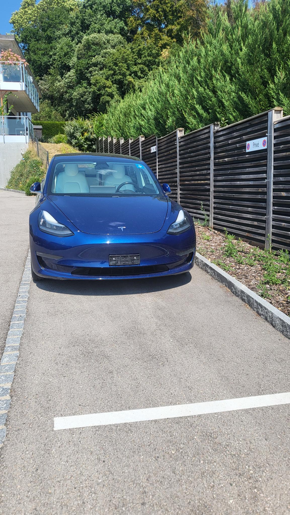 TESLA Long Range Dual Motor AWD, FSD