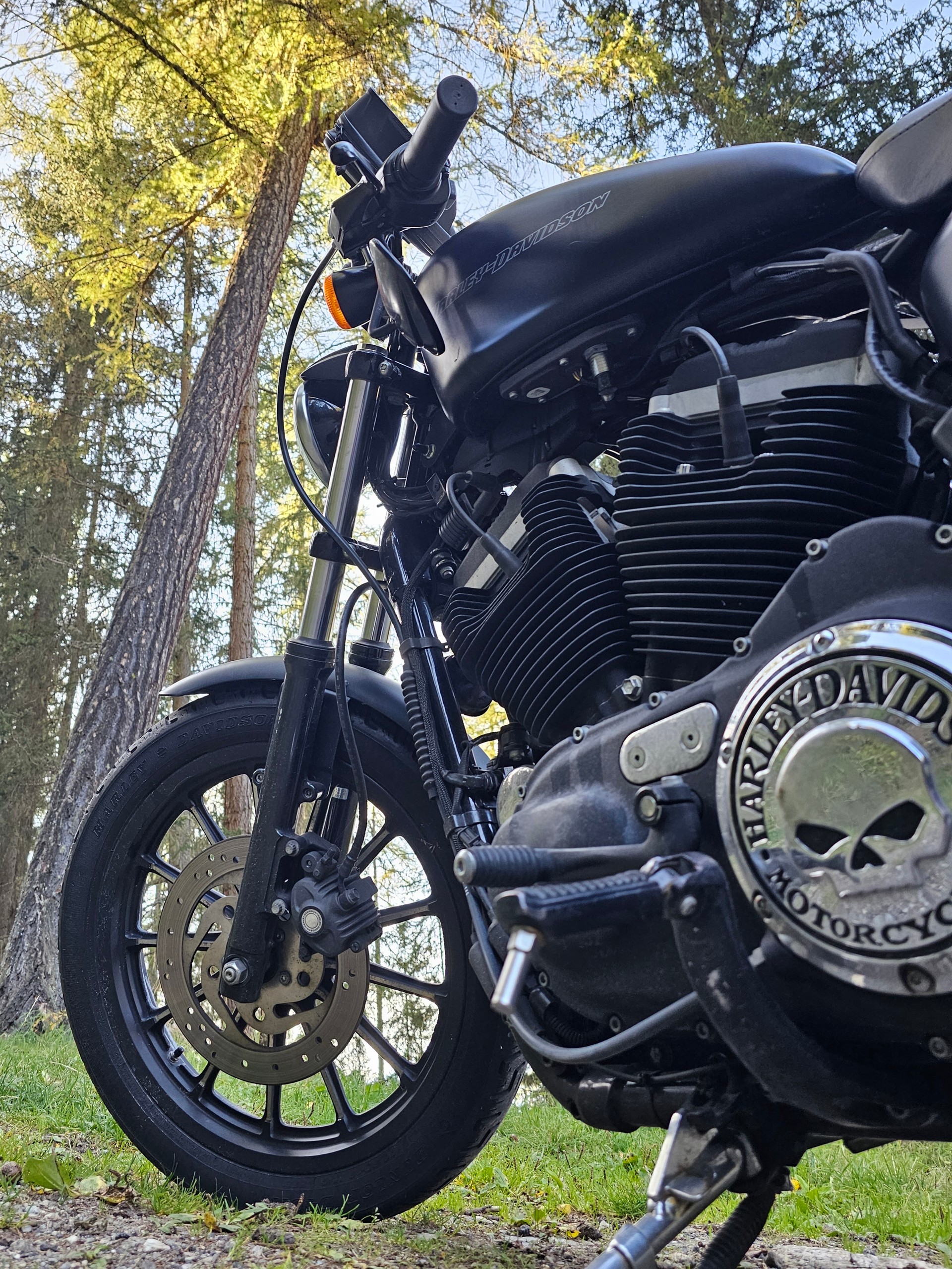 HARLEY-DAVIDSON XL 883 N Sportster Iron-image-8