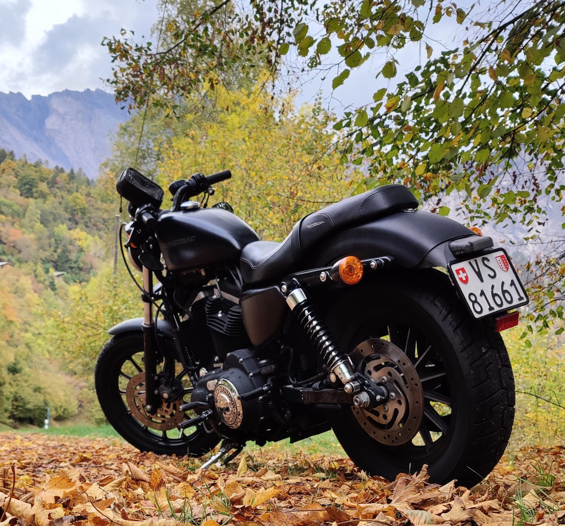HARLEY-DAVIDSON XL 883 N Sportster Iron-image-0