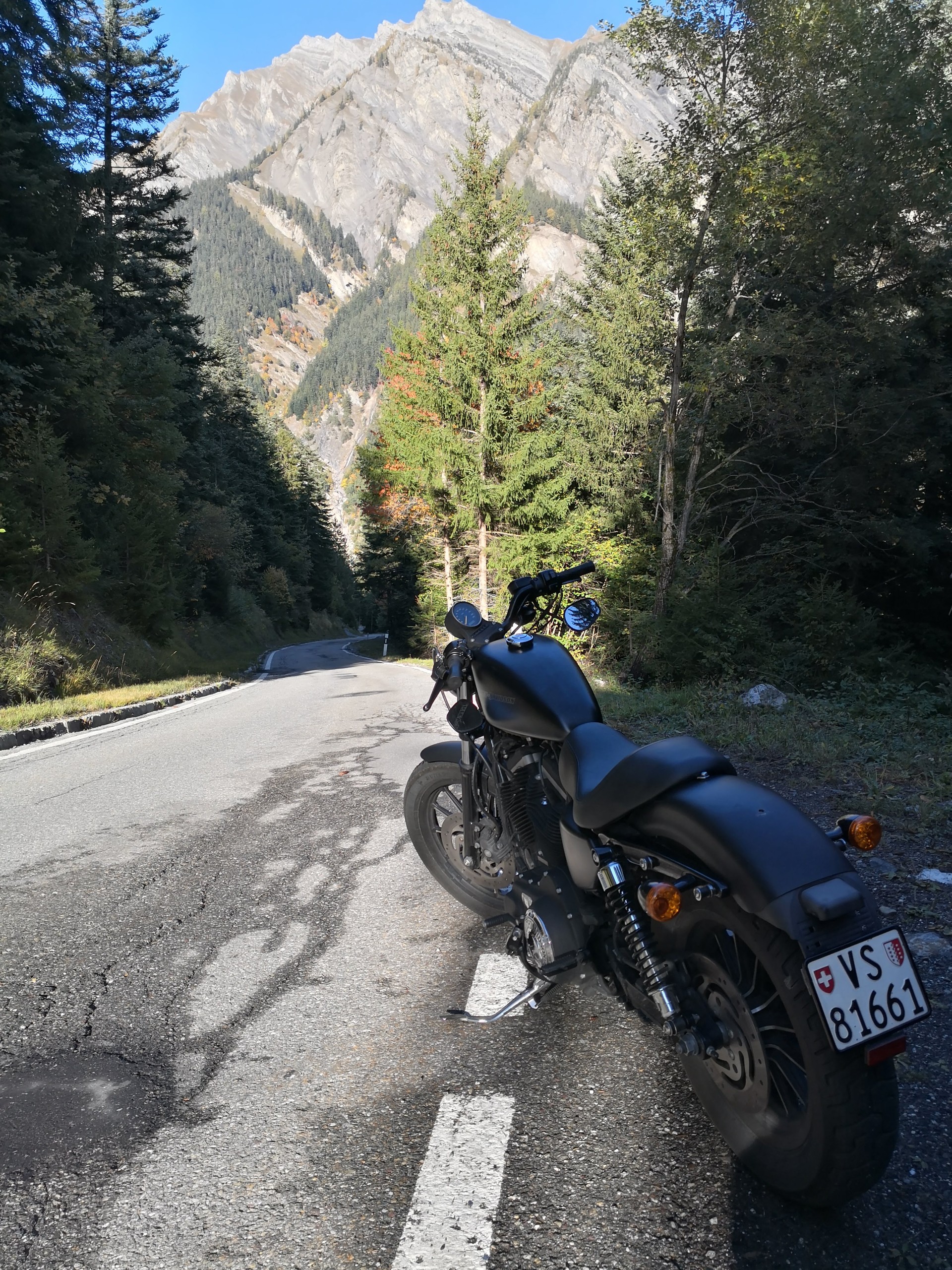 HARLEY-DAVIDSON XL 883 N Sportster Iron-image-5